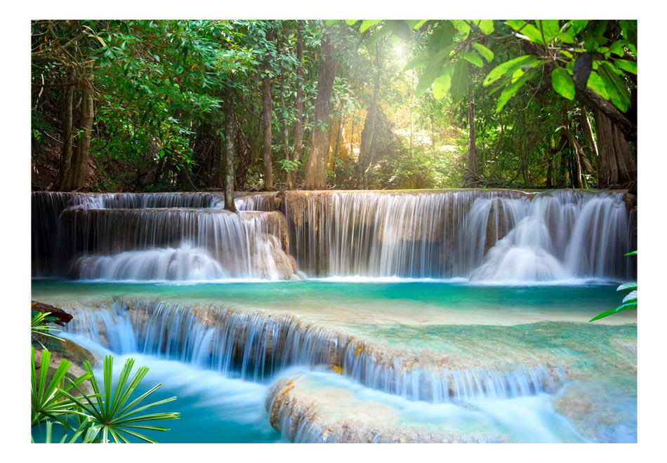 Fotomurale - Risveglio della natura, 200x140