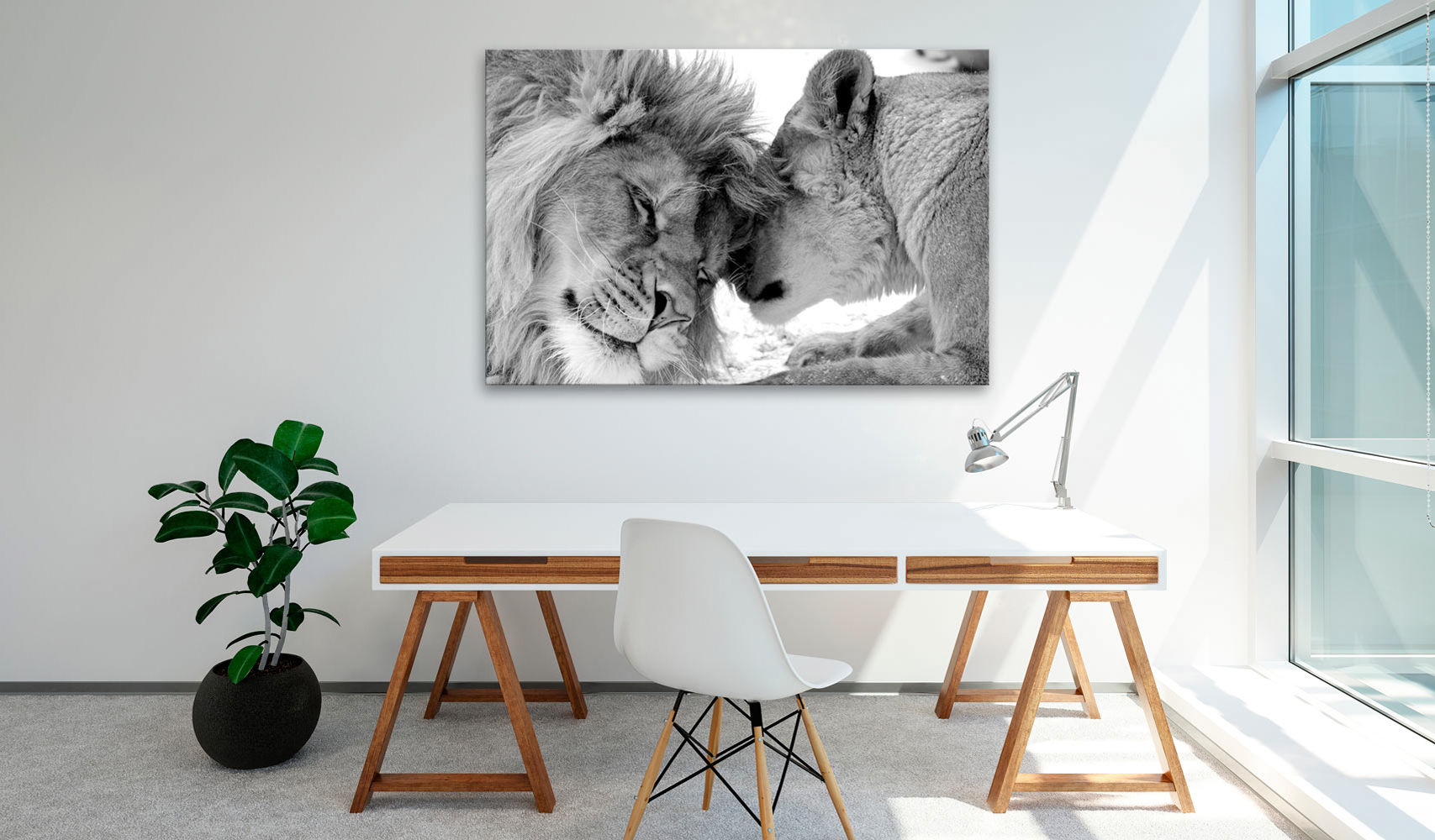 Quadro - Lion's Love, 60x40