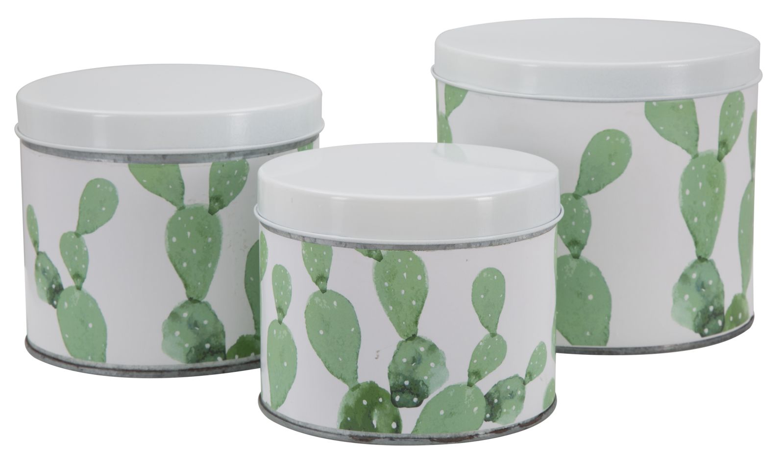 Cofanetti In Latta Cactus Set 3 Pz Cm  ﾘ 15X13.5-14X11.5-12.5X10 