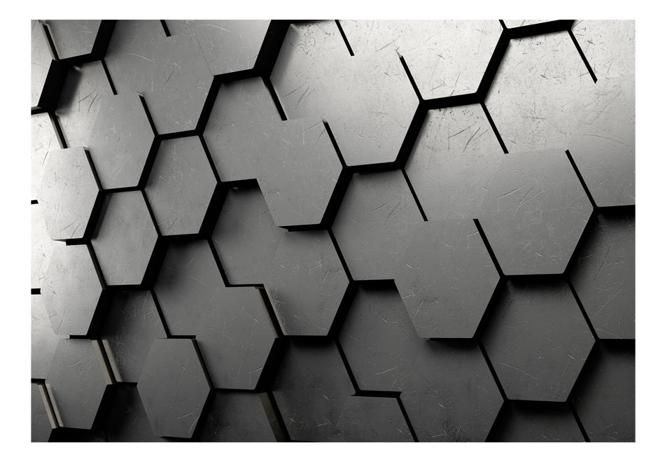 Fotomurale - Black Gate, 300x210