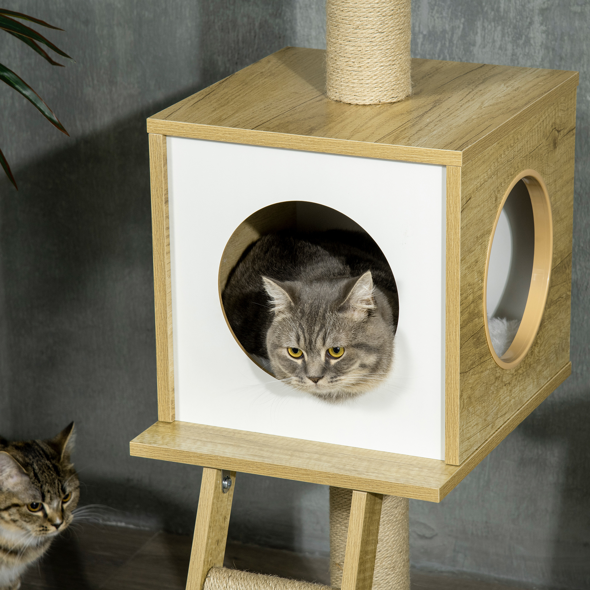 PawHut Krabpaal voor katten, klimboom voor katten, lisdodde, 1 hol, mand, pompon, speeltoren voor katten, pluche, hoogte 74 cm, beige