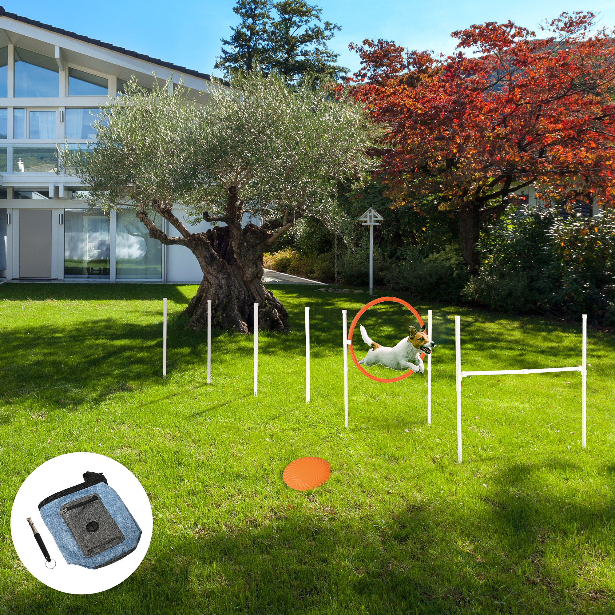 PawHut Dog Agility Training Kit with Portable Carry Bag, Outdoor Exercise Equipment, Multicolour