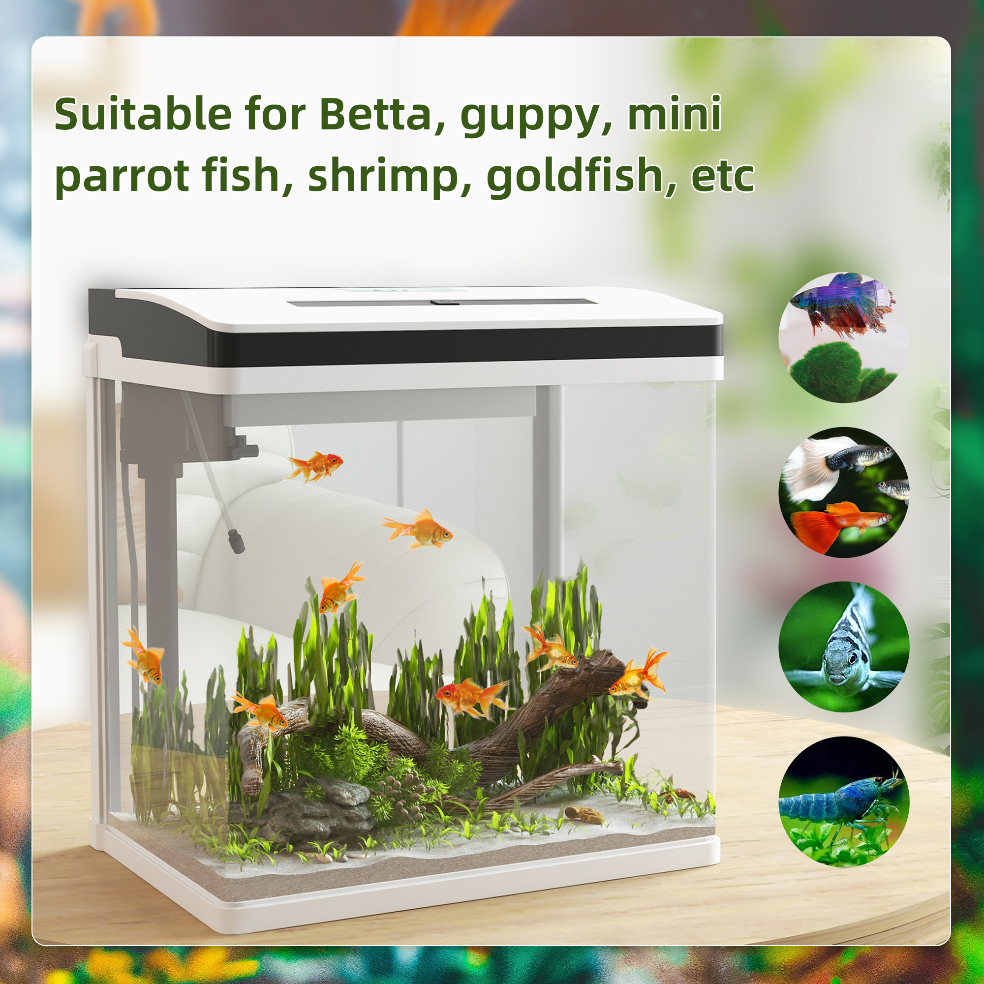 Betta Fish Tank, 2 Gallon Glass Aquarium, 3 in 1 Fish Tank with Filter and  Light, Desktop Small Fish Tank for Betta Fish, Shrimp, Goldfish (Black)