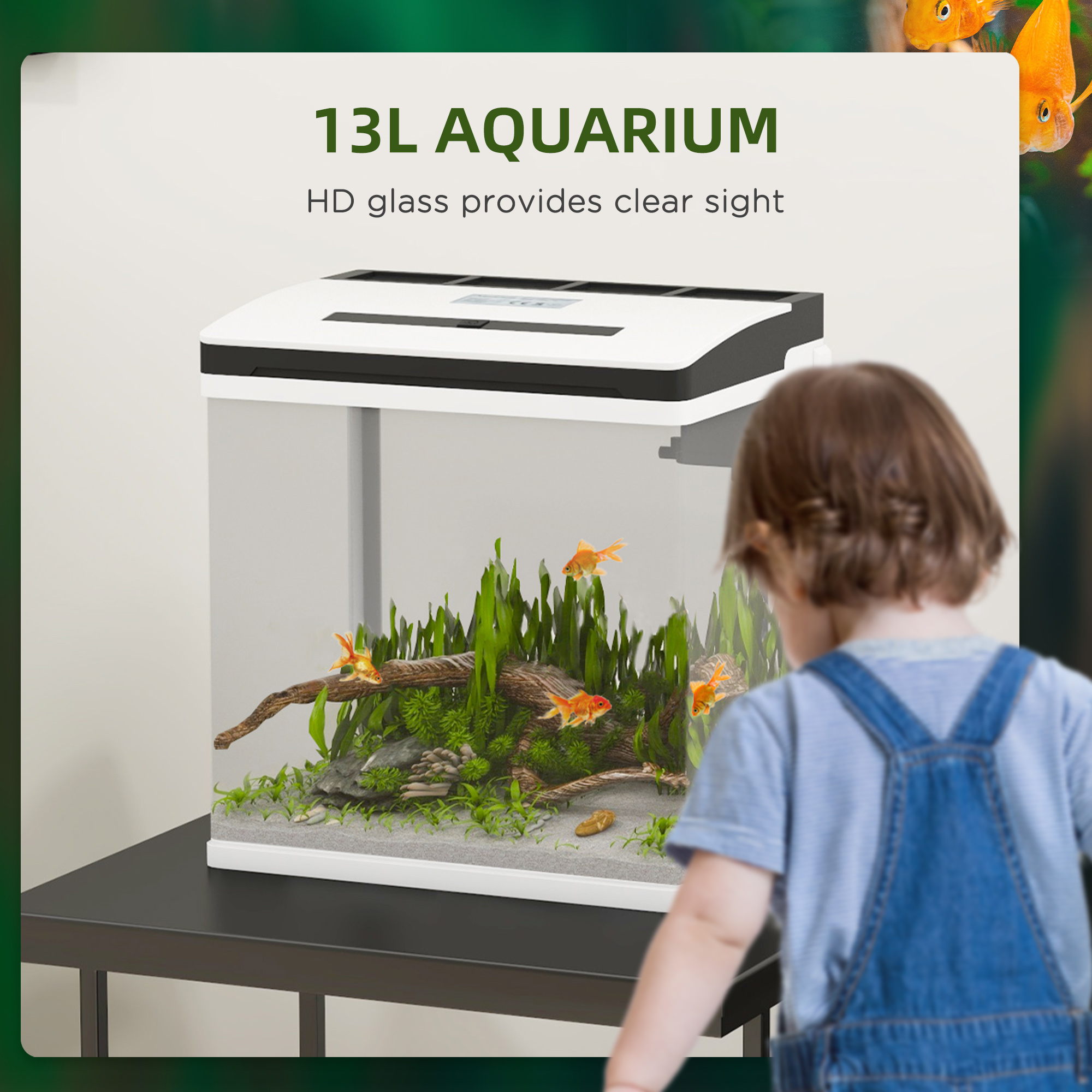 PawHut 13L Glass Aquarium Fish Tank with Filter, LED Lighting, for Betta, Guppy, Mini Parrot Fish, Shrimp, 29 x 20 x 30.5cm