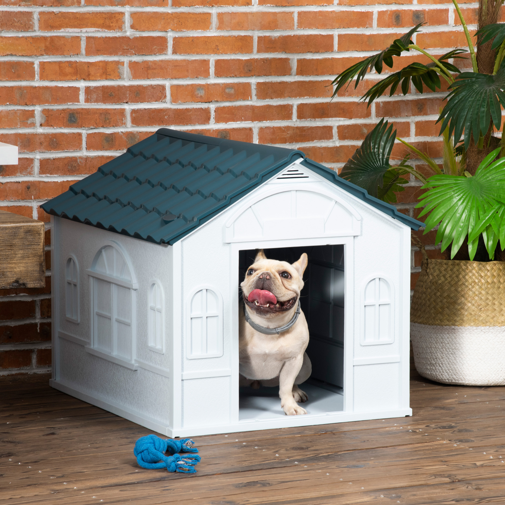 PawHut Durable Dog Kennel Weather-Resistant Plastic Pet House for Indoor & Outdoor Use, Medium Size, White and Blue