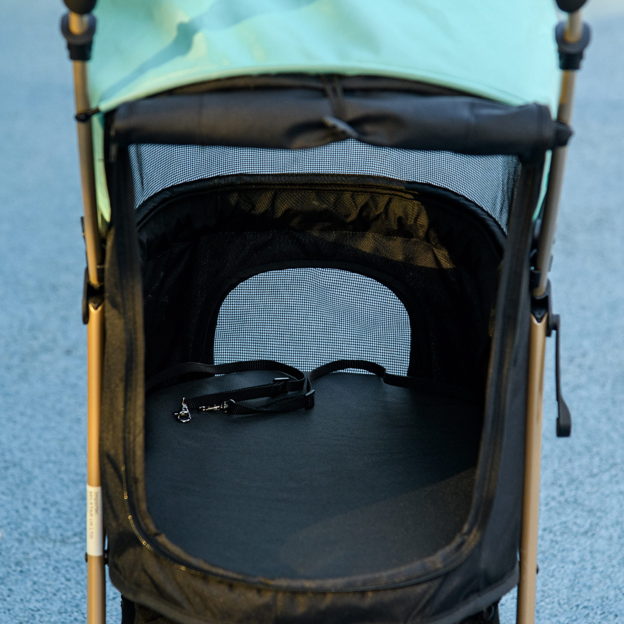 PawHut Pet Stroller for Small Dogs, Durable Oxford Fabric, with Rain Cover, Lightweight & Portable, Vibrant Green