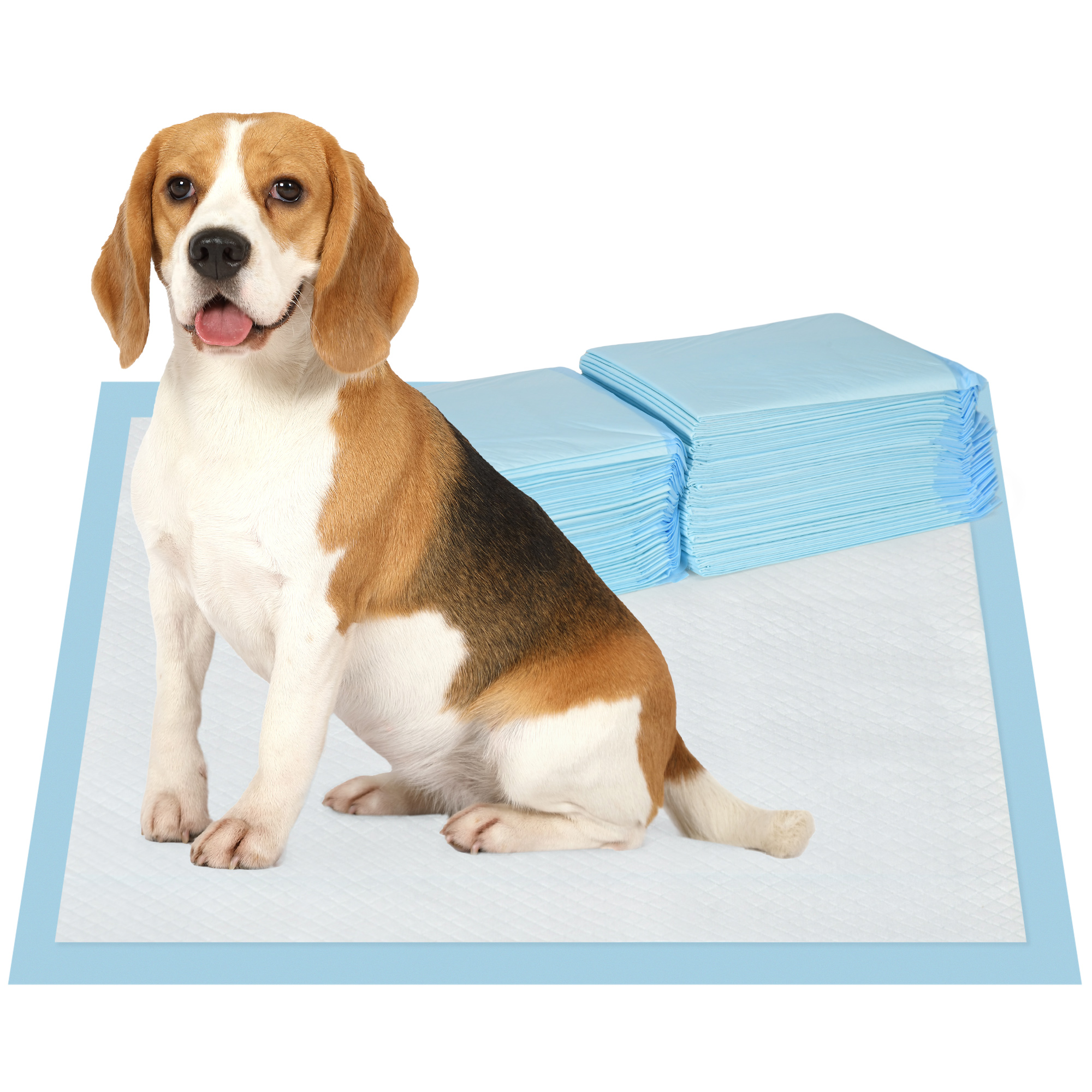 PawHut Set 80 Tappetini Igienici per Cani a 6 Strati in Tessuto non Tessuto, Carta e PE, 60x60 cm, Blu e Bianco
