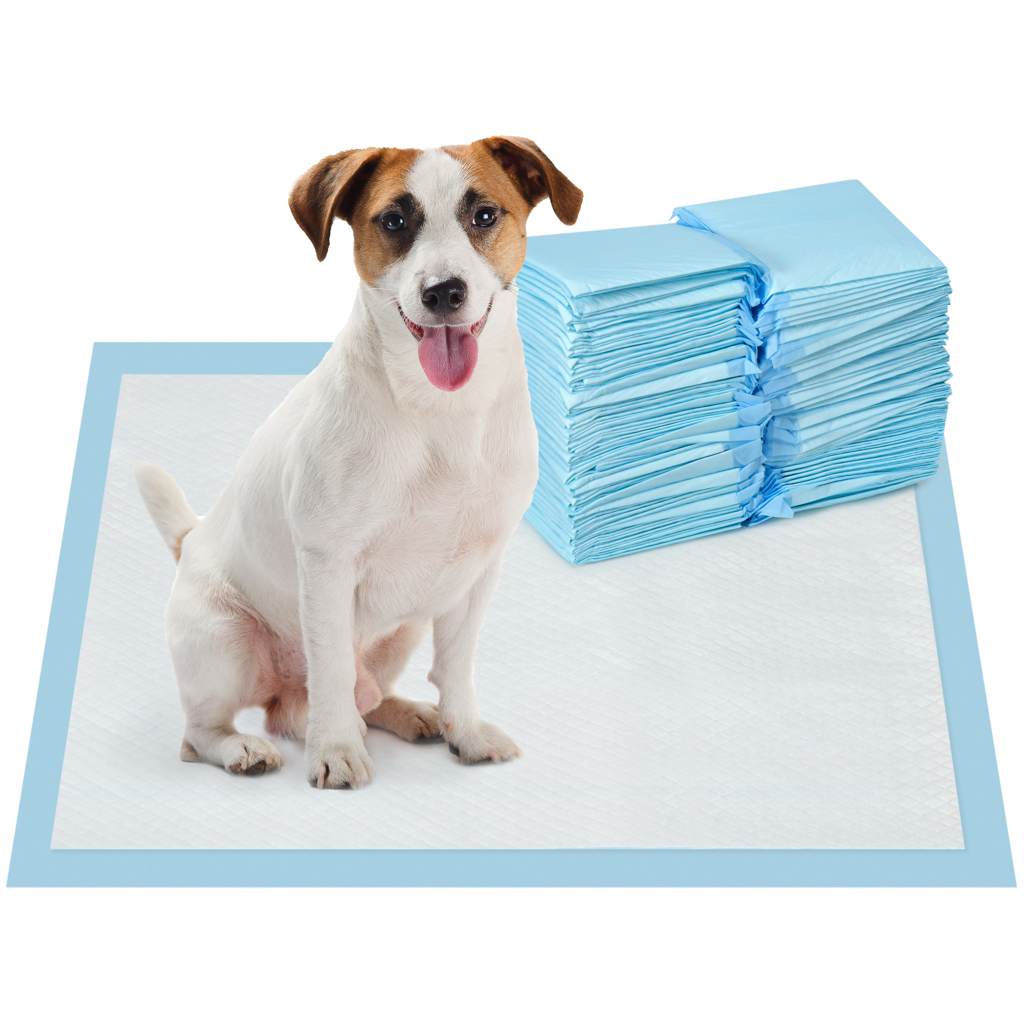 PawHut Set 100 Tappetini Igienici per Cani a 6 Strati in Tessuto non Tessuto, Carta e PE, 45x60 cm, Blu e Bianco
