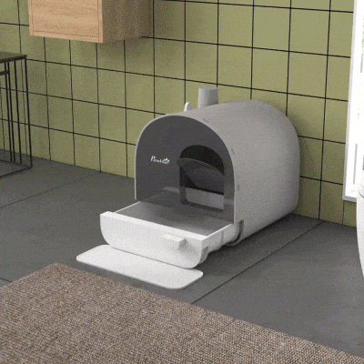 PawHut Caixa de Areia para Gatos Fechada com Porta Dianteira Bandeja Removível Pá Tapete e Filtro 43x44x47 cm Cinza