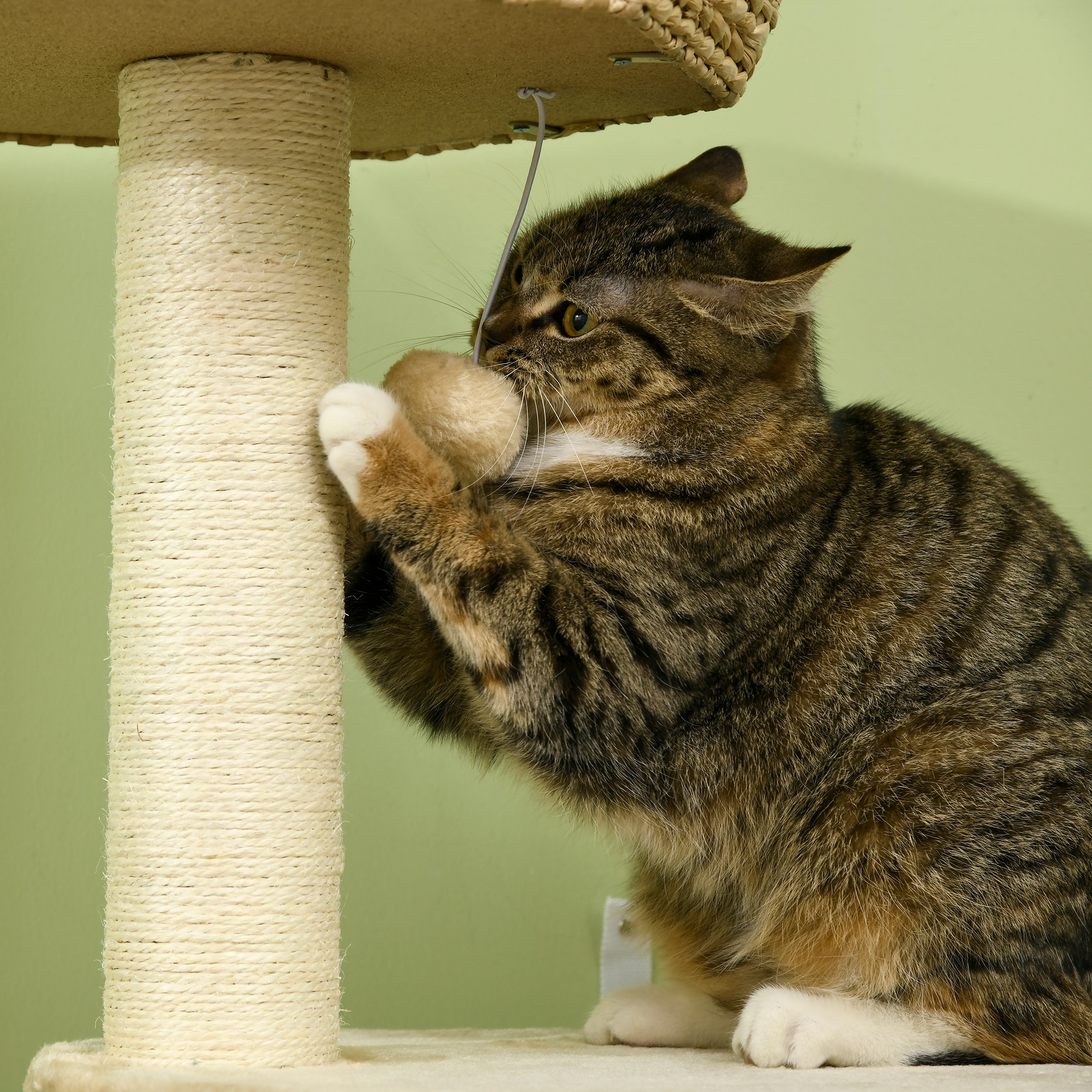 PawHut Cat Tree Activity Centre, with Cattail, Bed, Cat House, Sisal Post, Ball Natural Tone 7