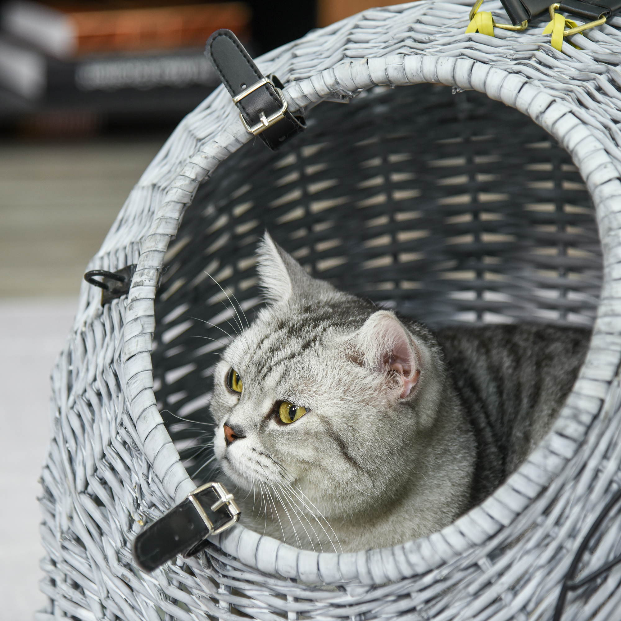 PawHut Cats Wicker Travel Carrier Basket w/ Plush Cushion Grey