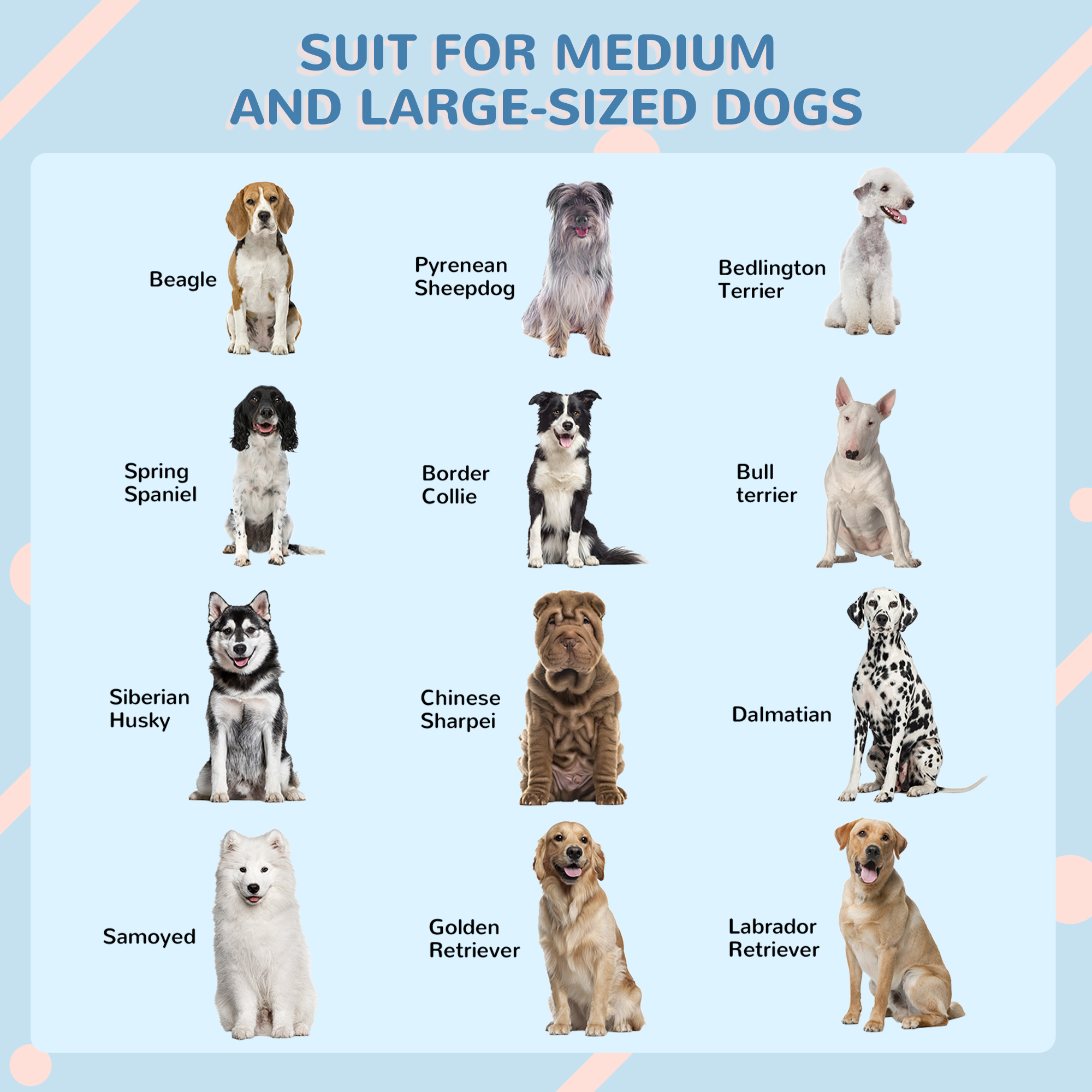 PawHut Plastic Weather-Resistant Dog House, for Indoors and Outdoors, Large Dogs White and Blue 7