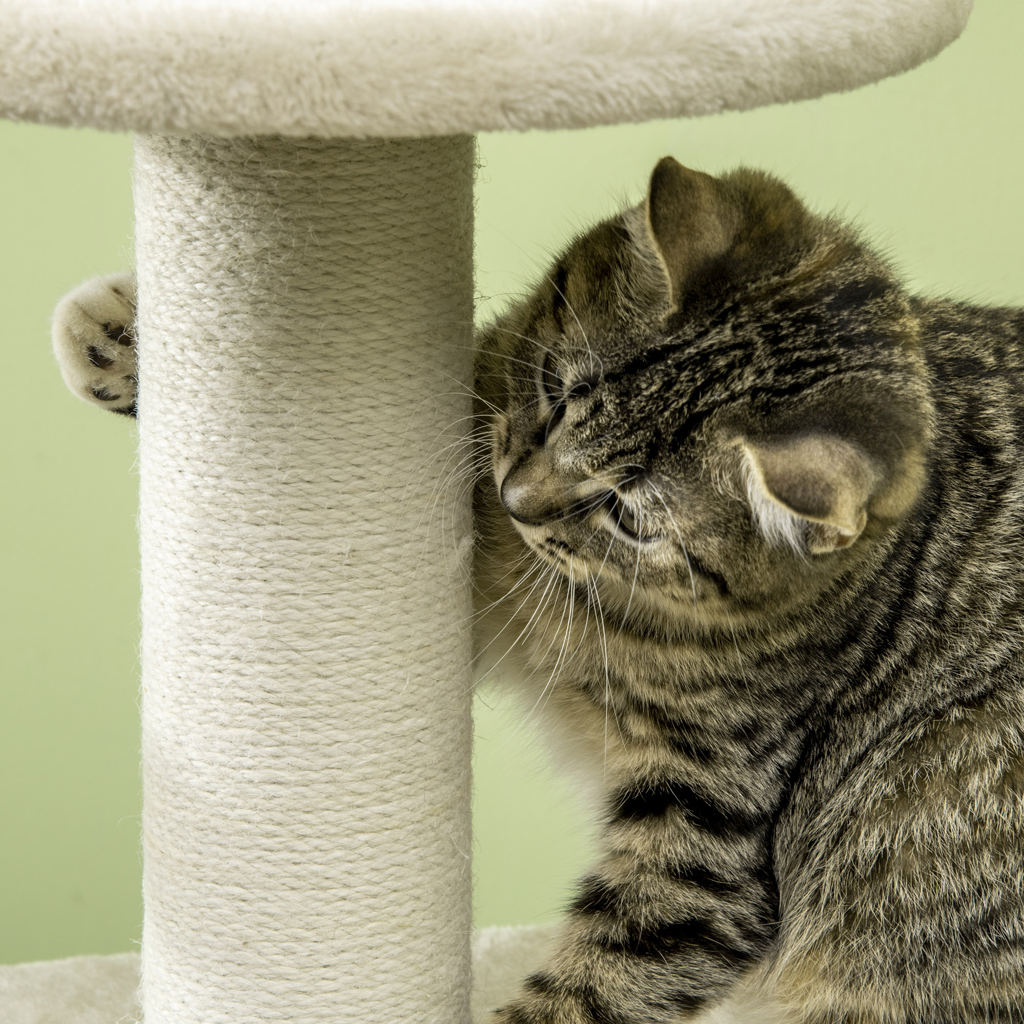 PawHut Cat Tree, with Scratching Post, Cat House & Hanging Toy Ball Beige 8