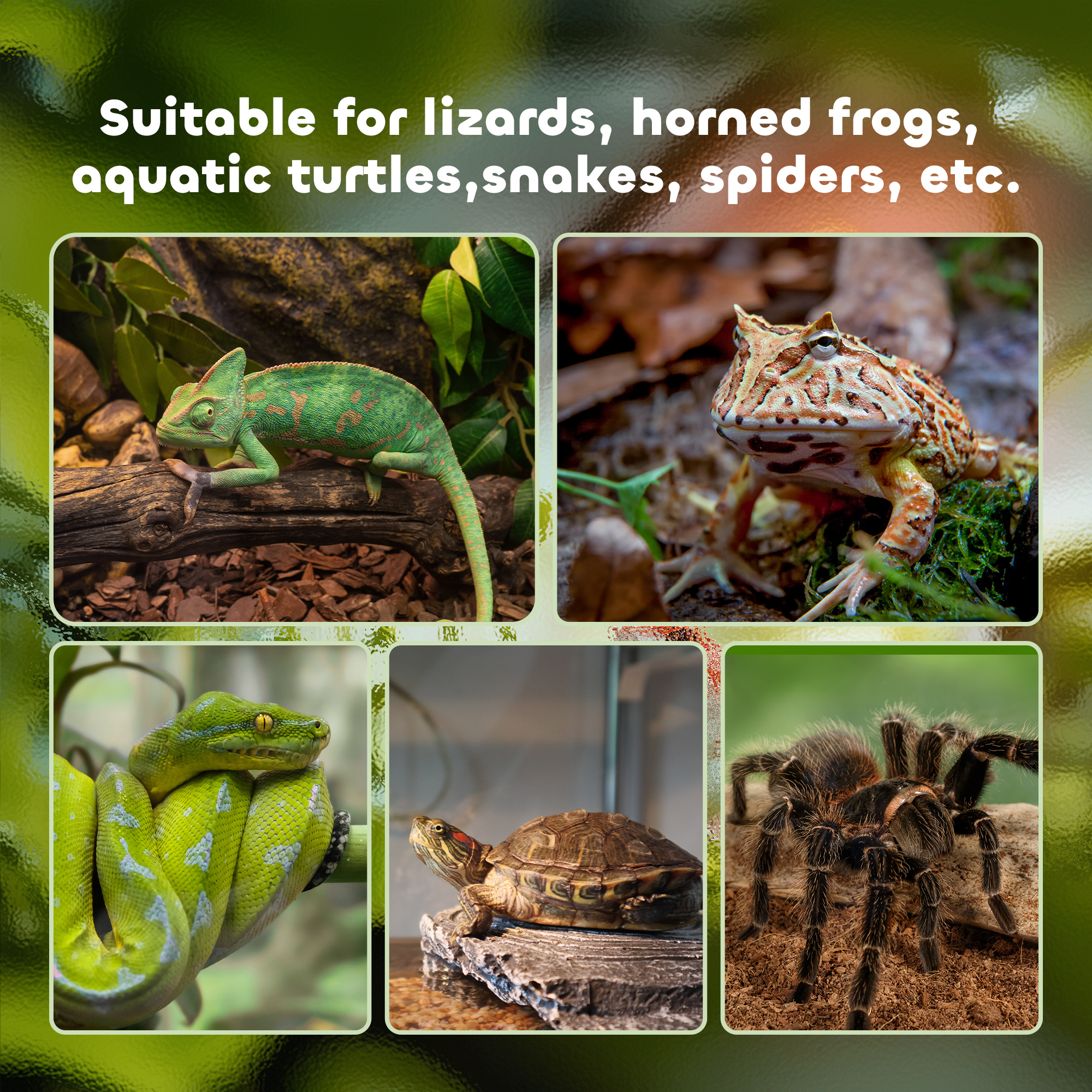 PawHut Glass Reptile Terrarium Insect Breeding Tank Vivarium Habitats with Thermometer for Lizards, Horned Frogs, Snakes, Spiders Small 30 x 30 x 20cm 7