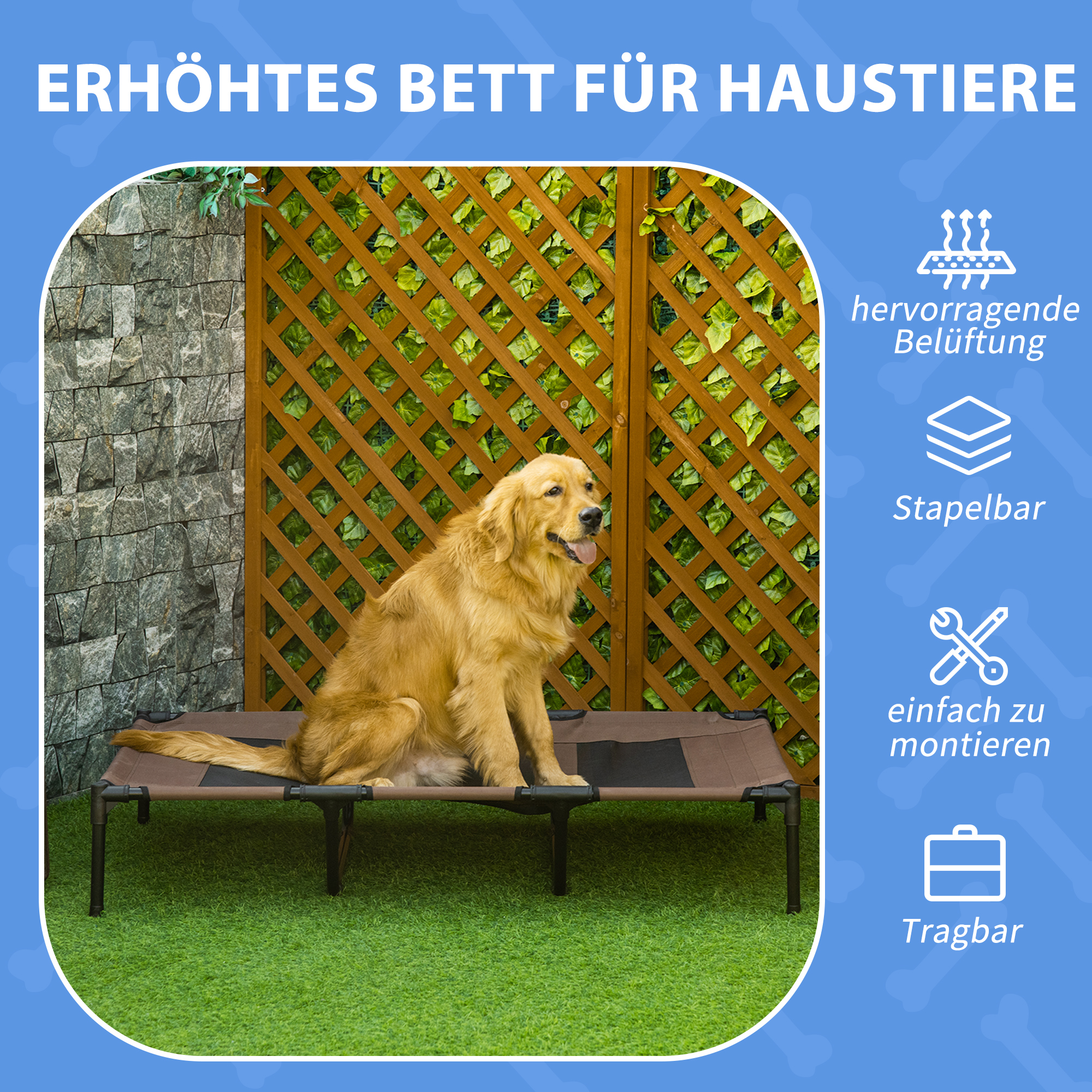 welches nassfutter ist das beste für hunde Dogs'n Tiger Hunde Nassfutter zum Kennenlernpreis main image 0