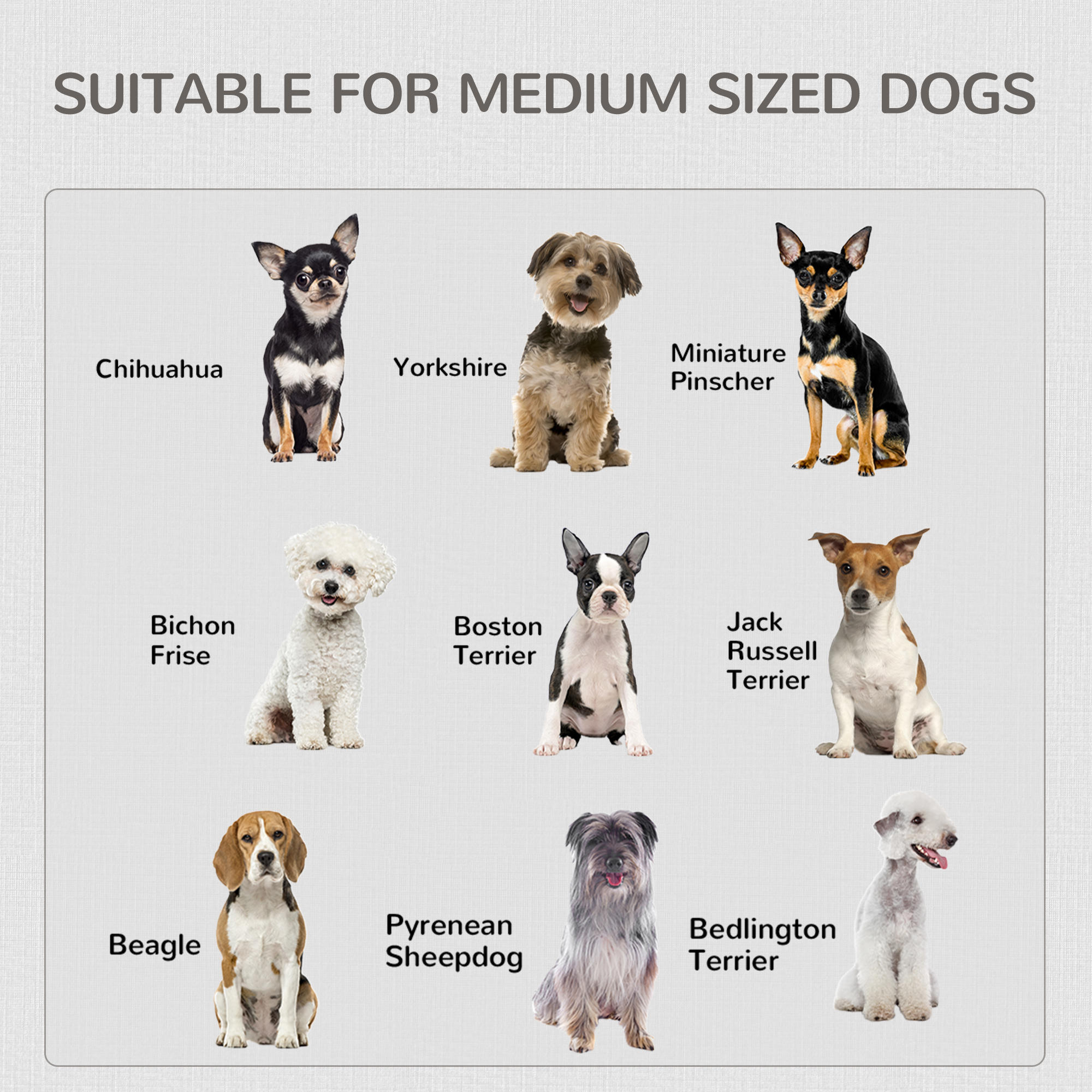 PawHut 2-in-1 Dog Cage and Side Table, with Two Lockable Doors, for Medium Dogs White 7