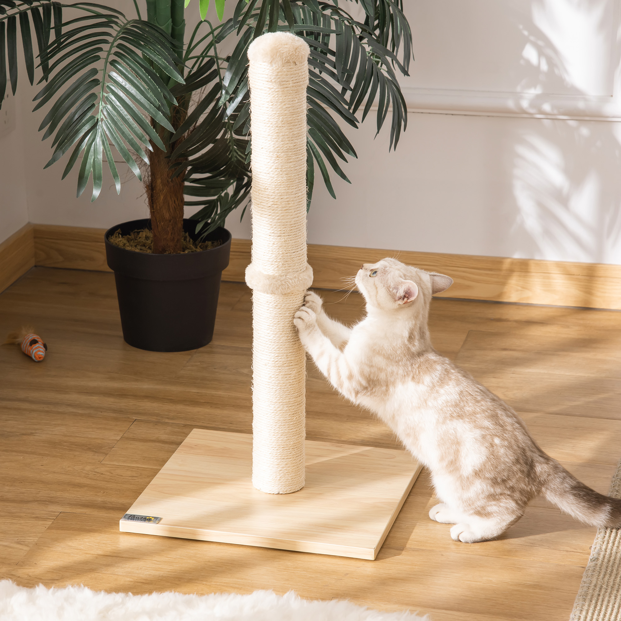 PawHut Kratzstamm Sisal Kratzsäule für Katzen 60cm stabil mit Ball aus Spanplatte Beige Eiche für aktives Spielen   Aosom.de