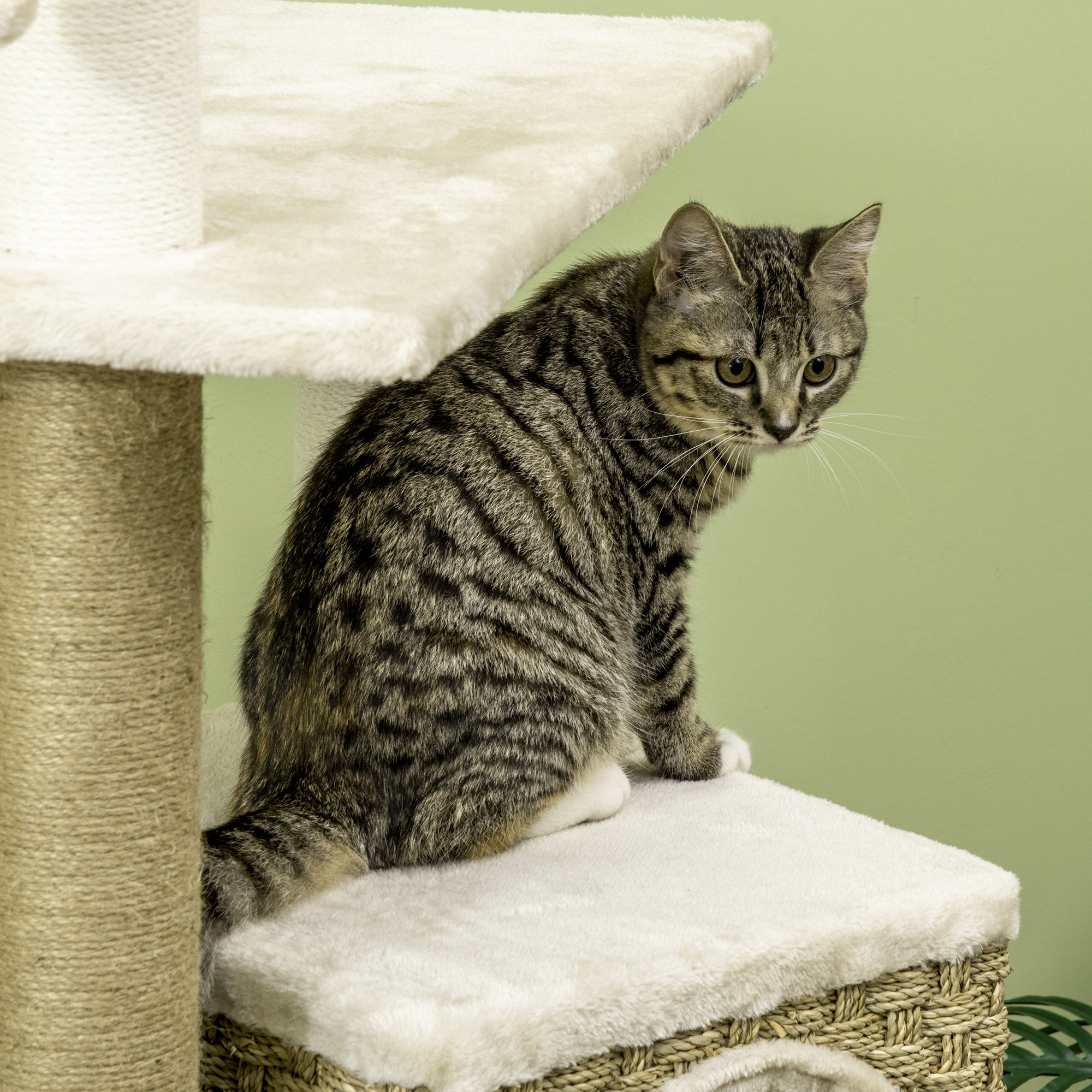 PawHut Cat Tree, with Scratching Post, Cat House & Hanging Toy Ball Beige 9