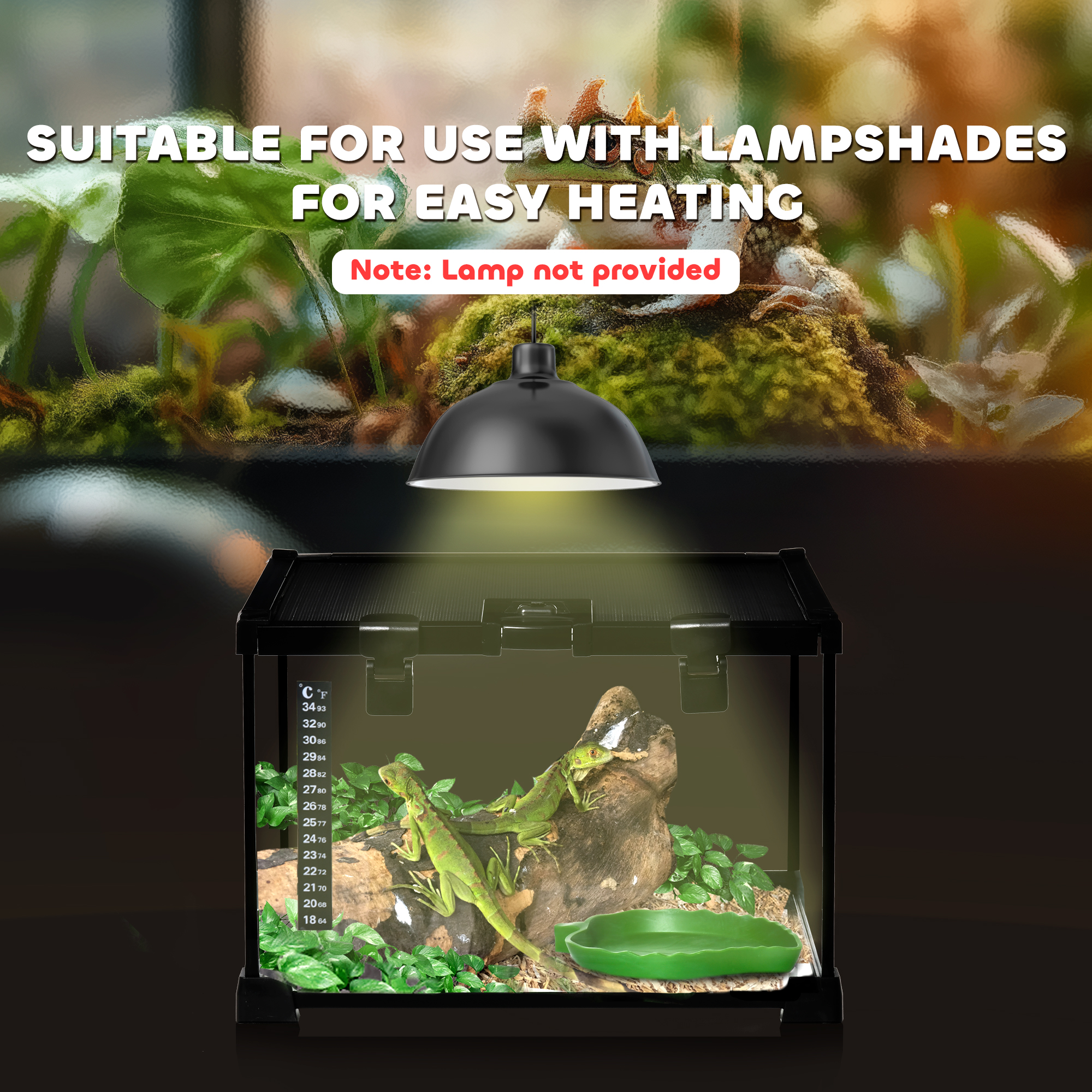 PawHut Glass Reptile Terrarium Insect Breeding Tank Vivarium Habitats with Thermometer for Lizards, Horned Frogs, Snakes, Spiders Small 30 x 30 x 20cm 8