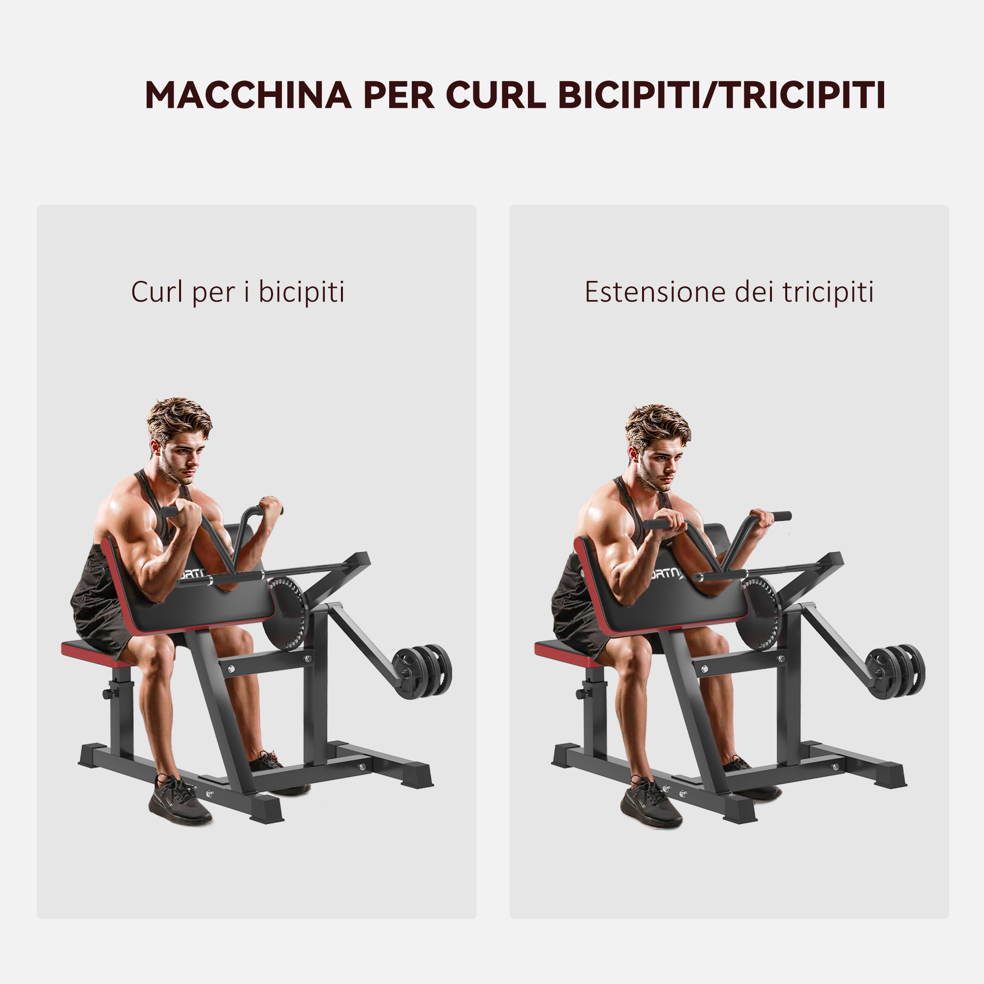 Panca Romana Regolabile LIONSCOOL Per Iperestensioni – Peso Max 160kg, Con Barre Per Dip - 5