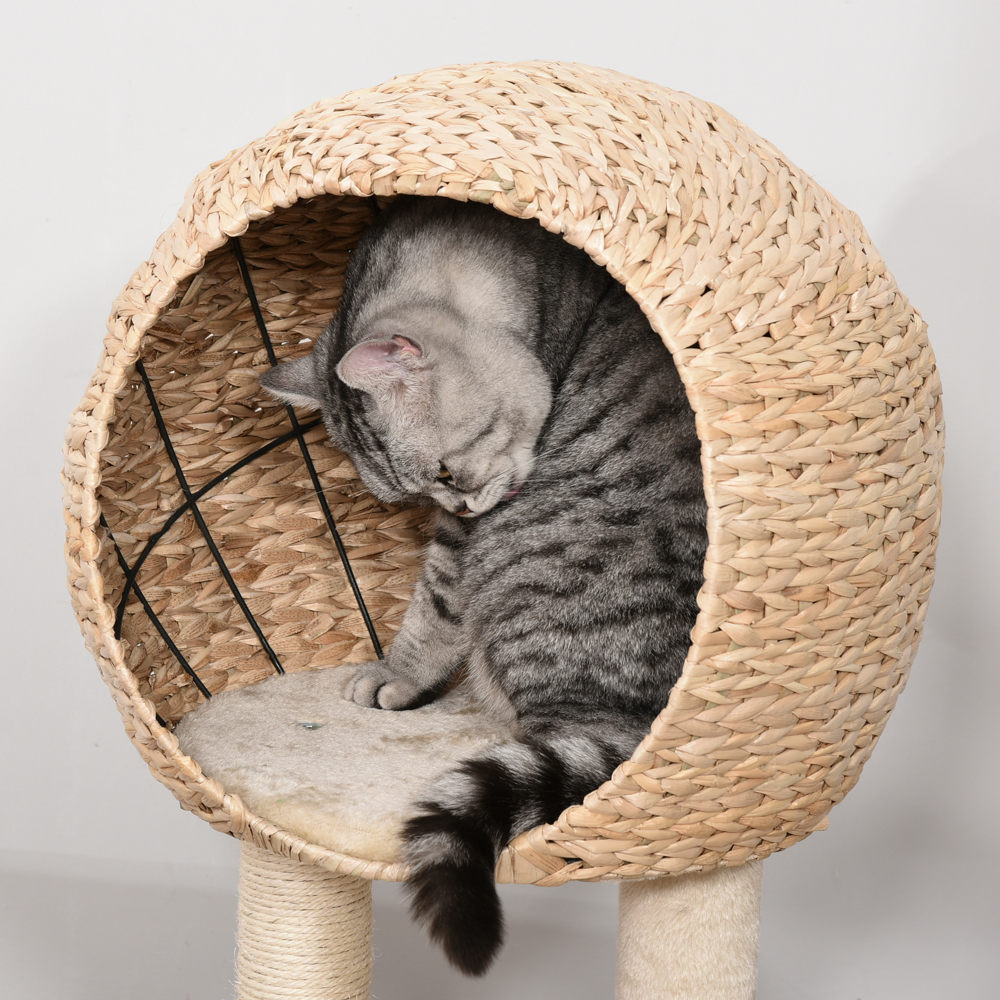 PawHut Cat Tree for Indoor Cats 100cm Kitten Climbing Tower Activity Center with Sisal Scratching Post Condo Perch Hanging Balls Teasing Rope Toy Cushion 7