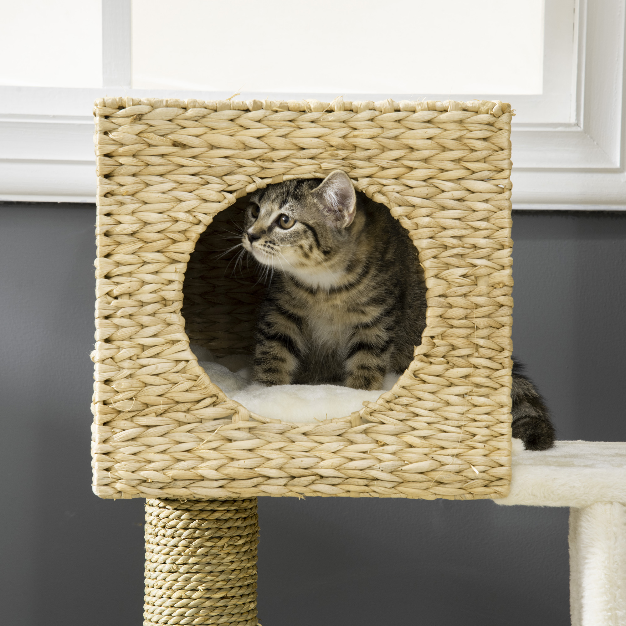 PawHut Cat Tree, with Scratching Posts, Bed, Cat House Natural Finish 8