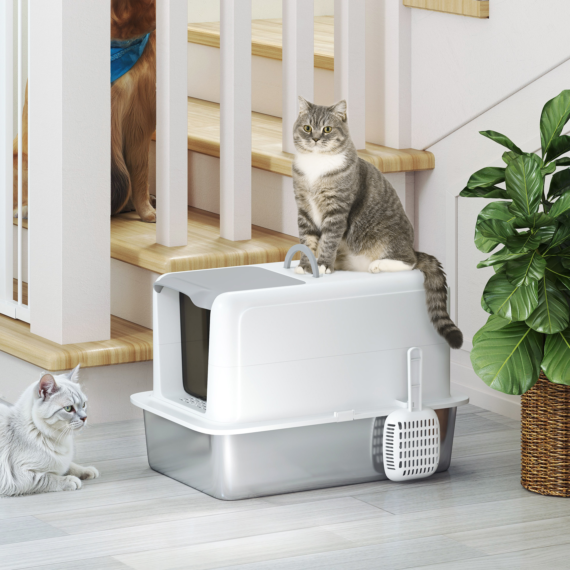 Kassiliivkast, roostevabast terasest kandik, filter, kühvel, kassidele kuni 6 kg, 40,5 x 60,5 x 41,5 cm, valge/hõbedane