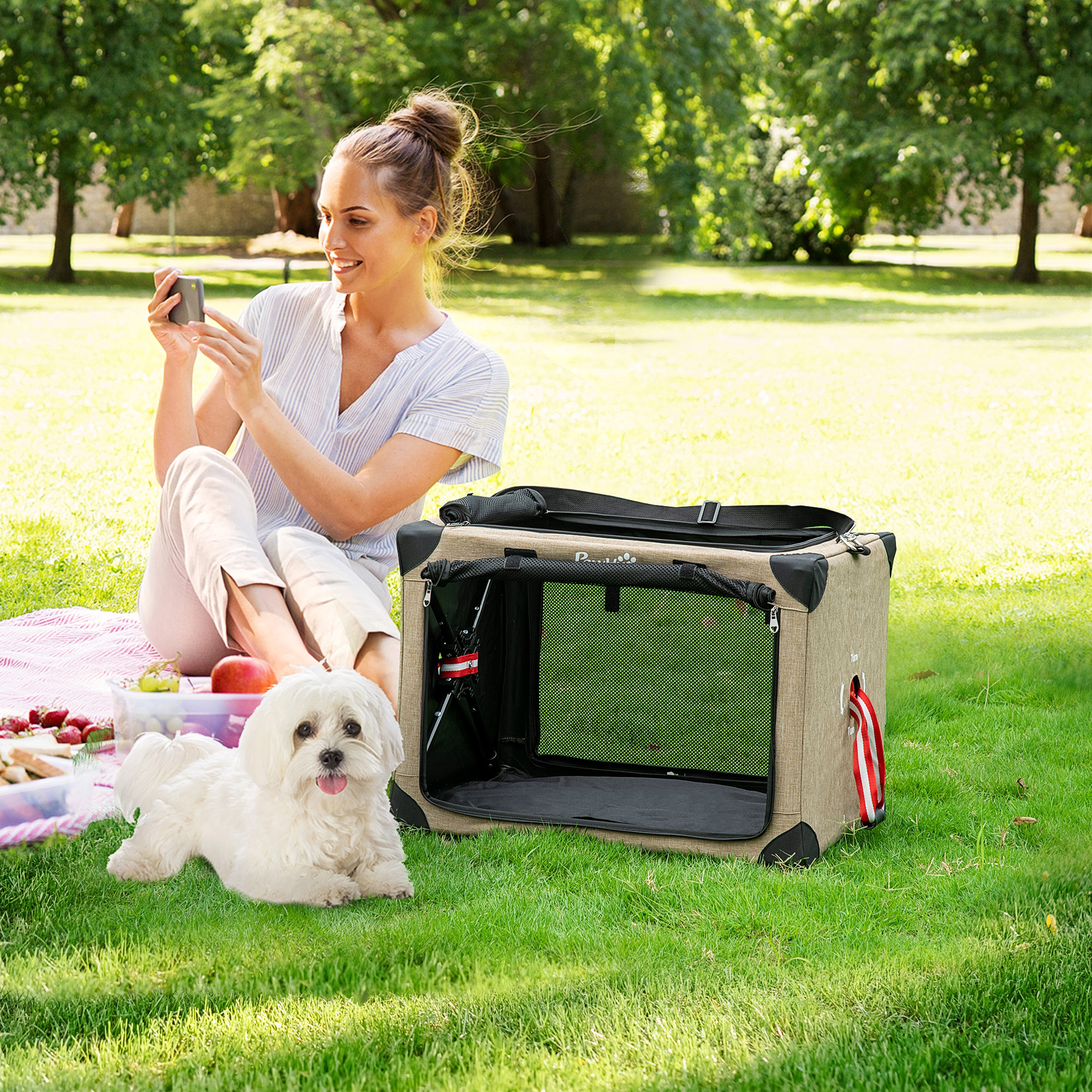 PawHut Foldable Pet Carrier, with Cushion, for Small Dogs and Cats 2