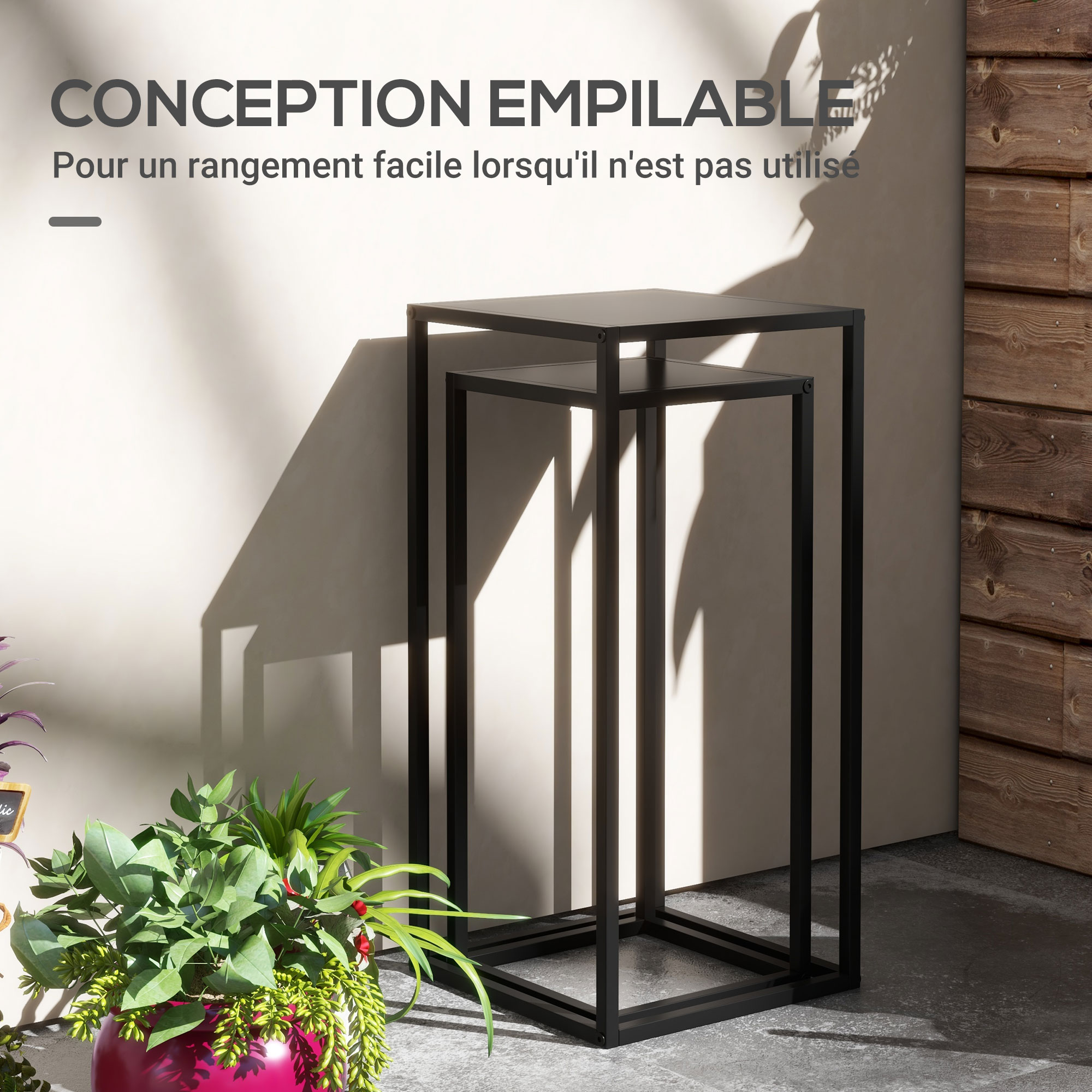 Cerisier Doux Regina – Plant En Pot 26 Cm, Hauteur 180-200 Cm, Âge 4 Ans – Variété Tardive Gros Fruits Rouge Foncé Sucrés
