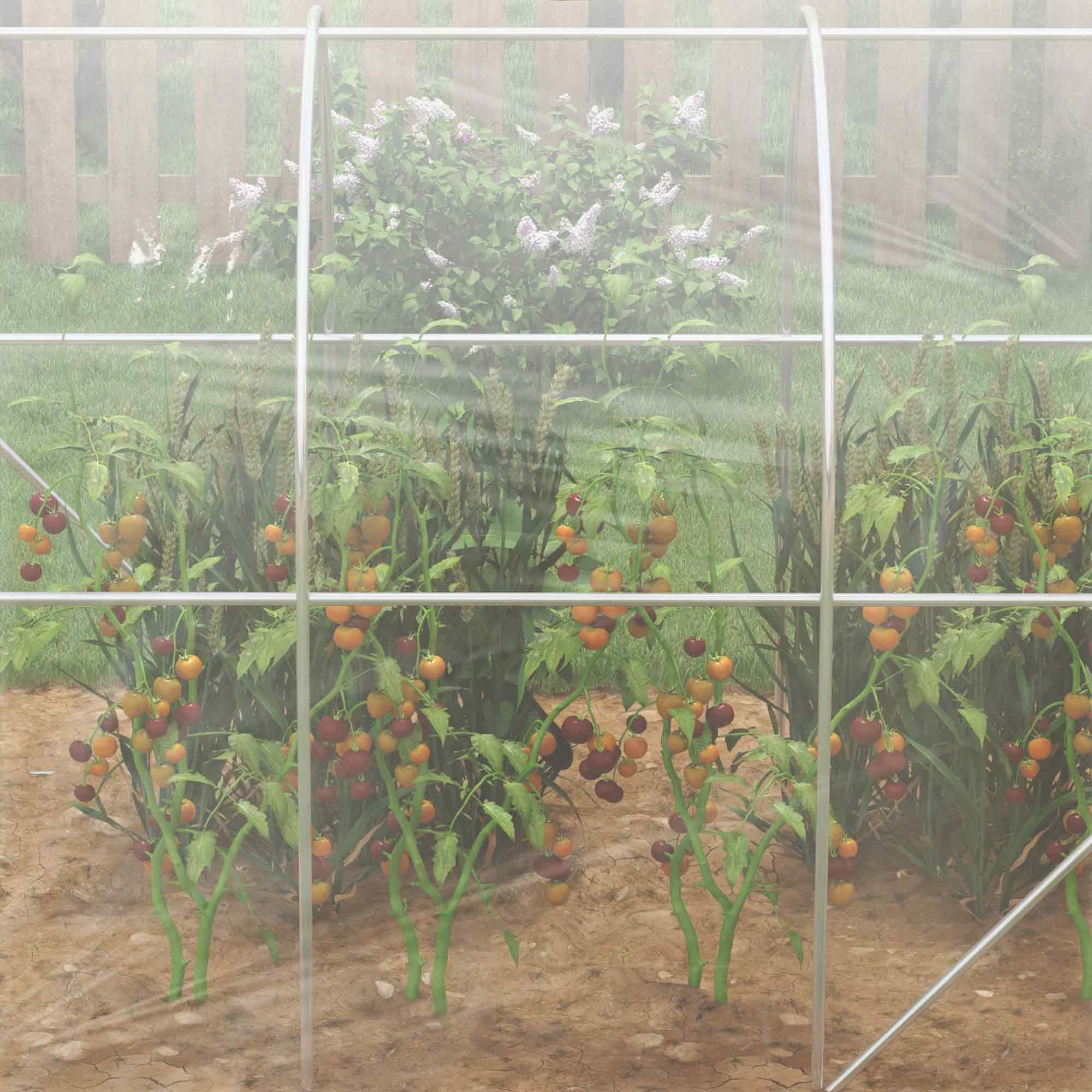 Outsunny Polytunnel Greenhouse Walk-in Grow House with PE Cover, Door and Galvanised Steel Frame, 3 x 2 x 2m, Clear 8