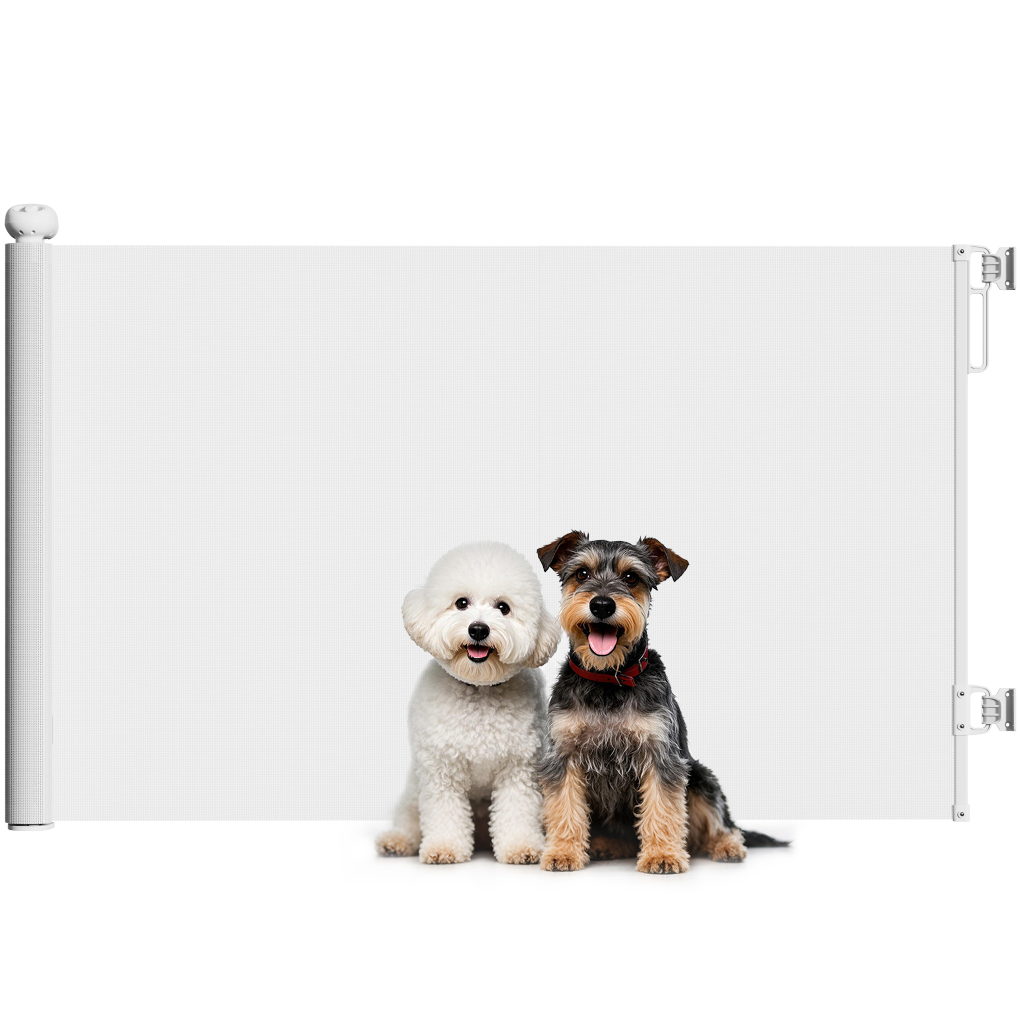PawHut Cancellino per Cani Piccoli Estensibile 0-140x86.5 cm e Retrattile con Blocco Automatico, Bianco