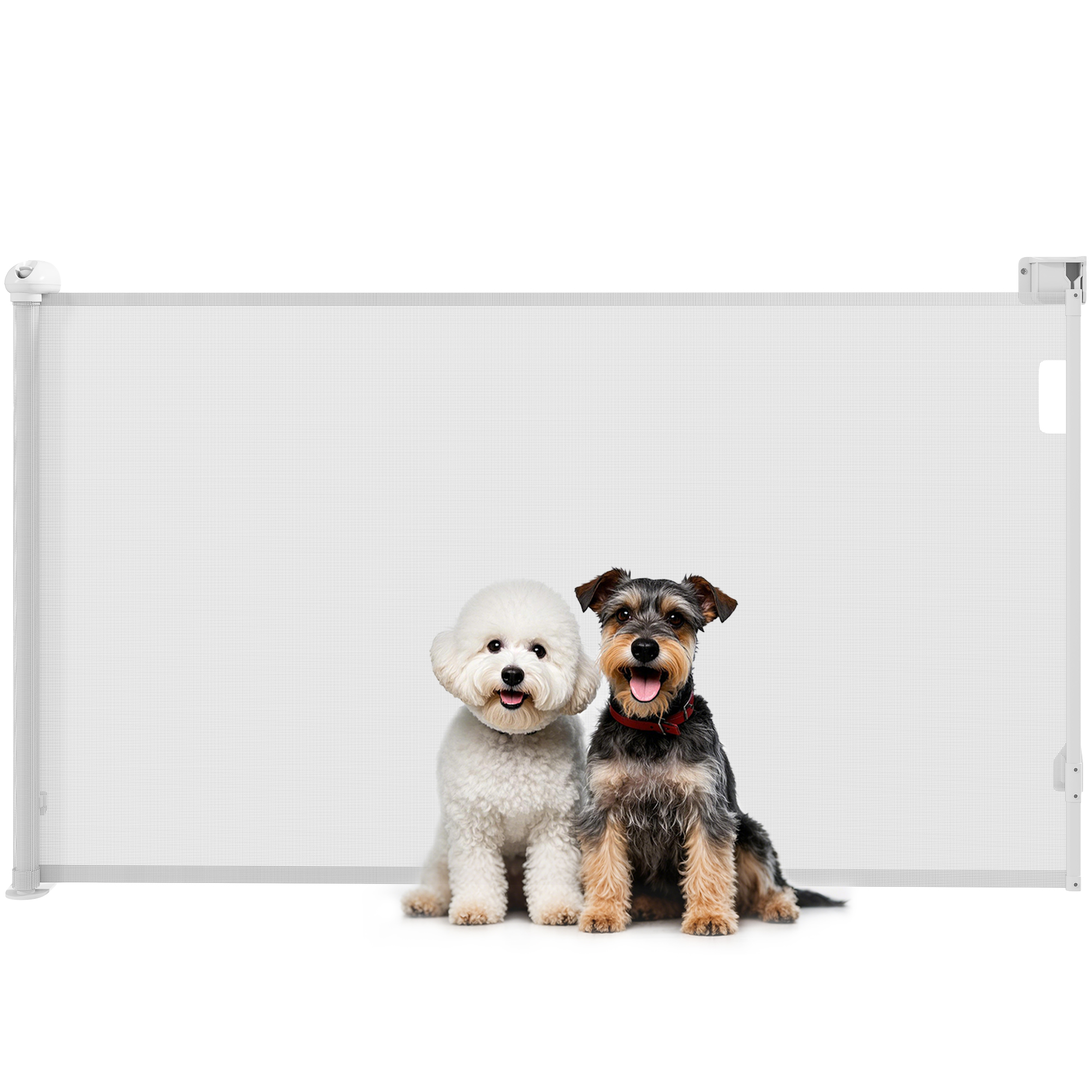 PawHut Cancellino per Cani Piccoli Estensibile 0-144 cm e Retrattile con Blocco Automatico, Bianco