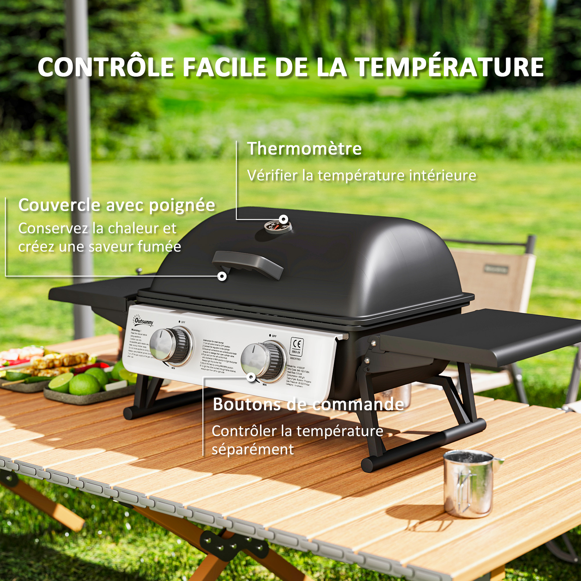 Barbecue Gaz De Table Transportable 2 Brûleurs 5KW - Pieds Pliables, Thermomètre, Acier Noir