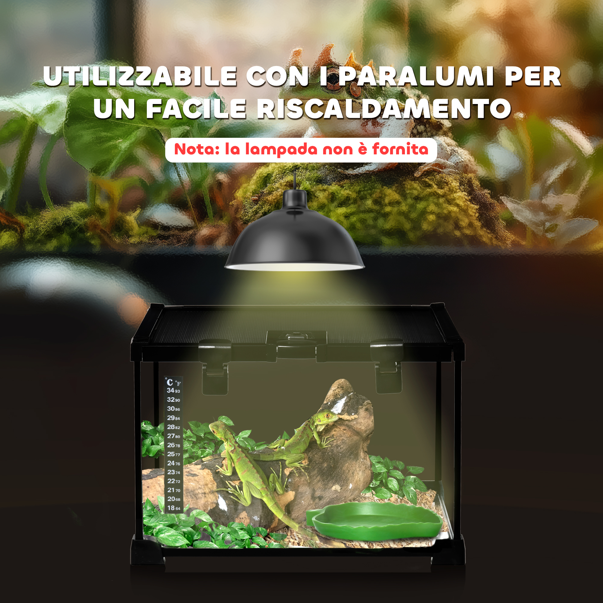 PawHut Reptielenglasterrarium 30x30x30 Cm - Vivarium Met Stenen Achtergrond Voor Hagedissen, Kikkers & Slangen