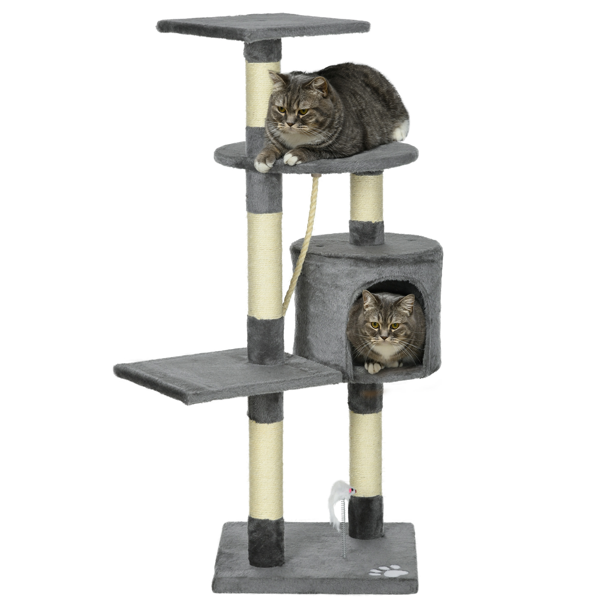 Image of PawHut Rascador per Gatti Altezza 116 cm Albero per Gatti con Pali di Sisal Cuccia Piattaforme e Giocattoli Grigio Scuro Aosom Italy006