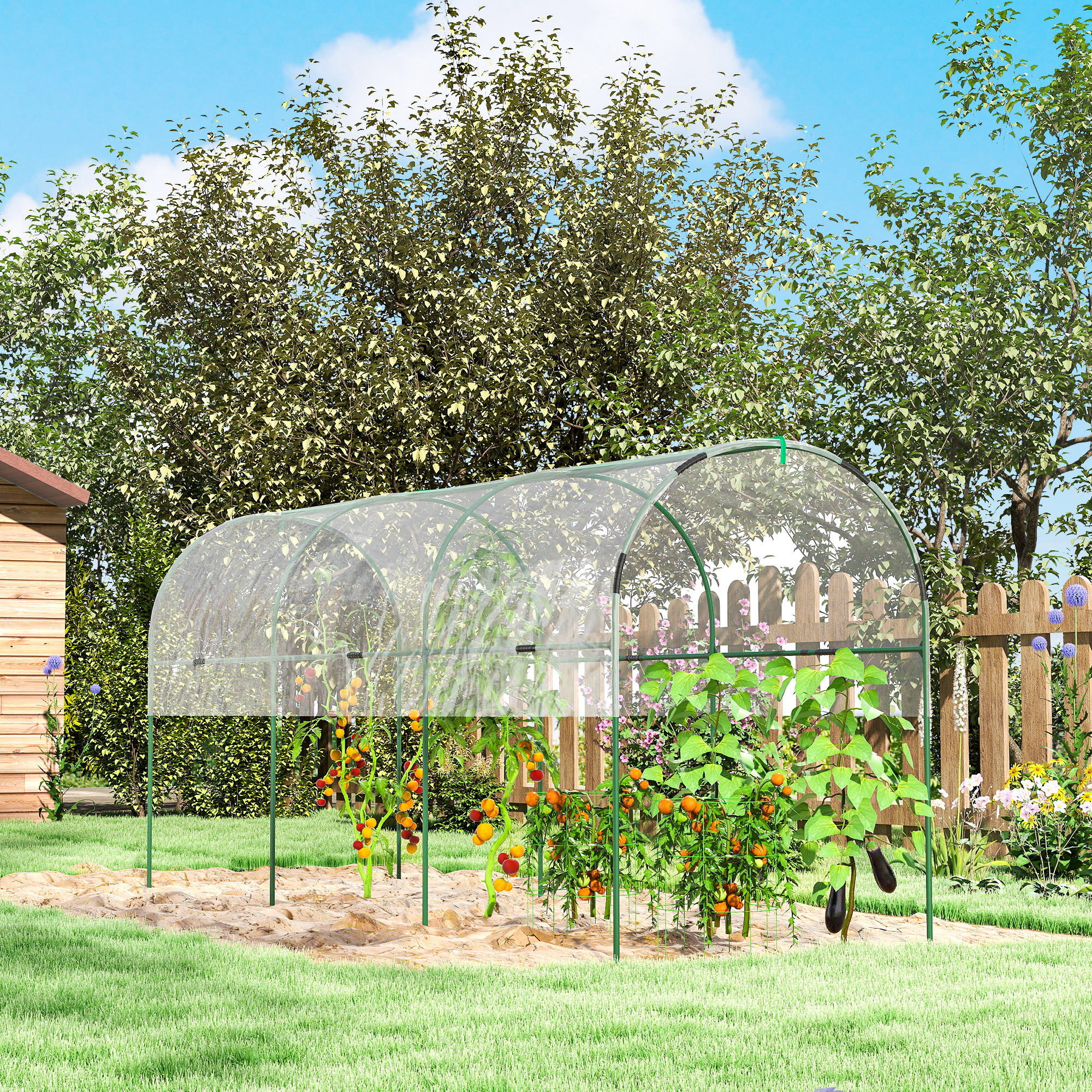 Outsunny Tunnel Tomato Greenhouse with 4 Hoops and Top Tap, Pointed Bottom and Guy Ropes, 400 x 123 x 171 cm, Clear 7