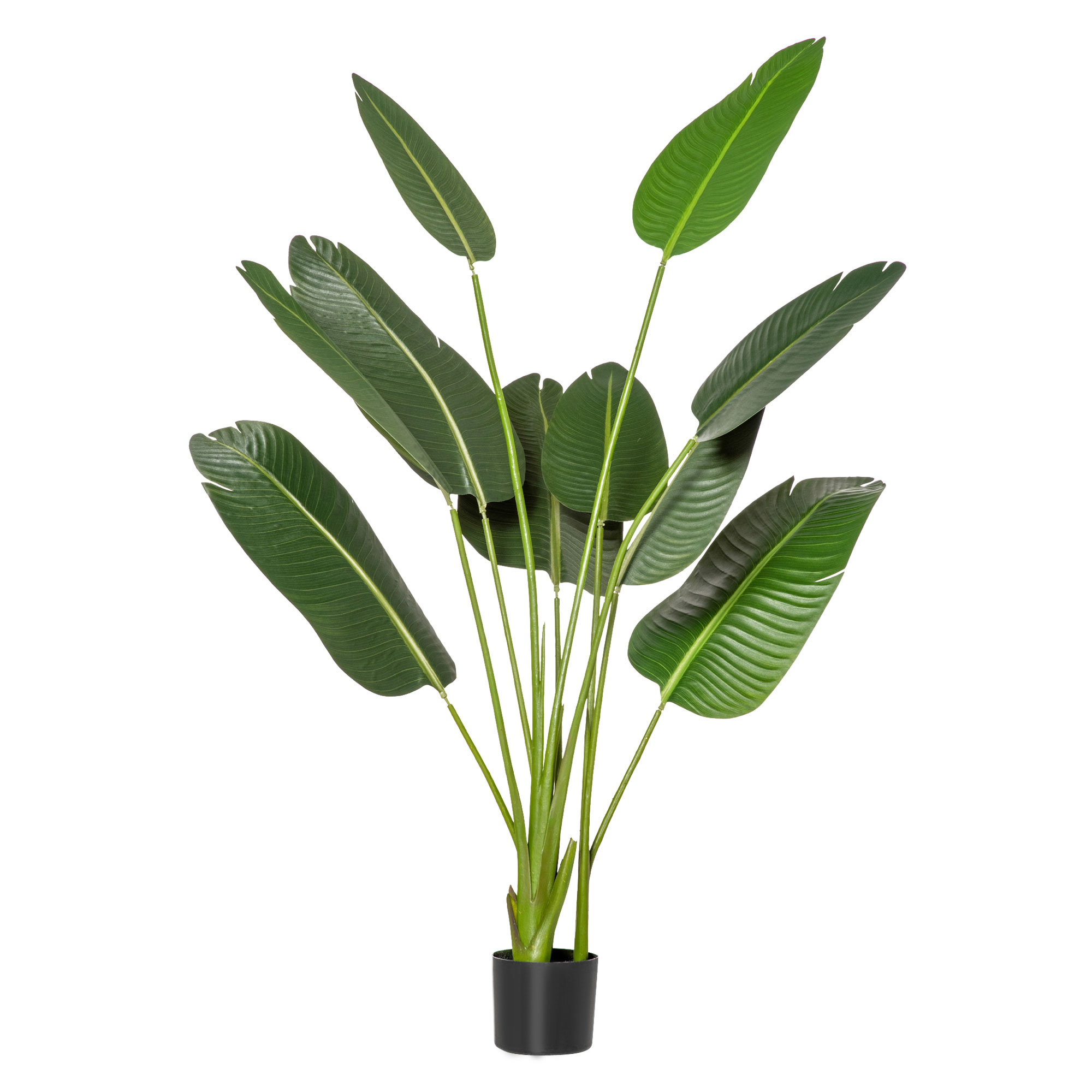 HOMCOM Planta Artificial Bananera de 160 cm con Maceta y 10 Hojas Realistas Planta Tropical Sintética para Interior y Exterior Verde | Aosom España
