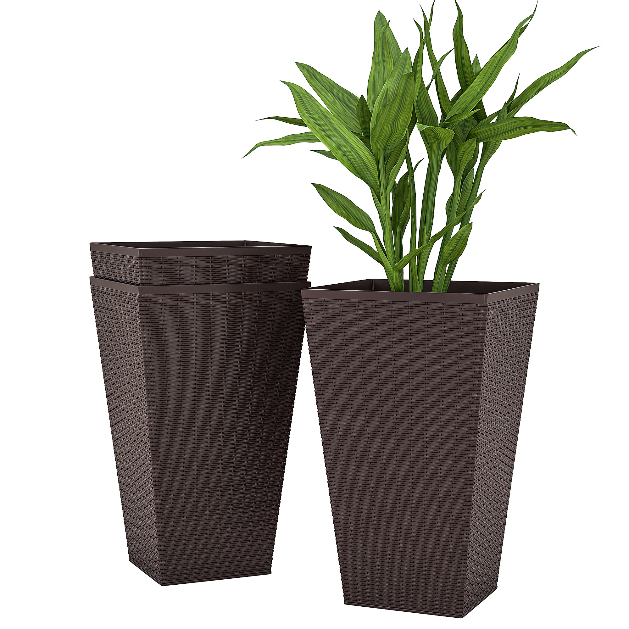 Lot De 5 Supports Oursins Décoratifs Naturels – Pots Suspendus Pour Plantes Aériennes, Intérieur & Extérieur, Couleurs Variées
