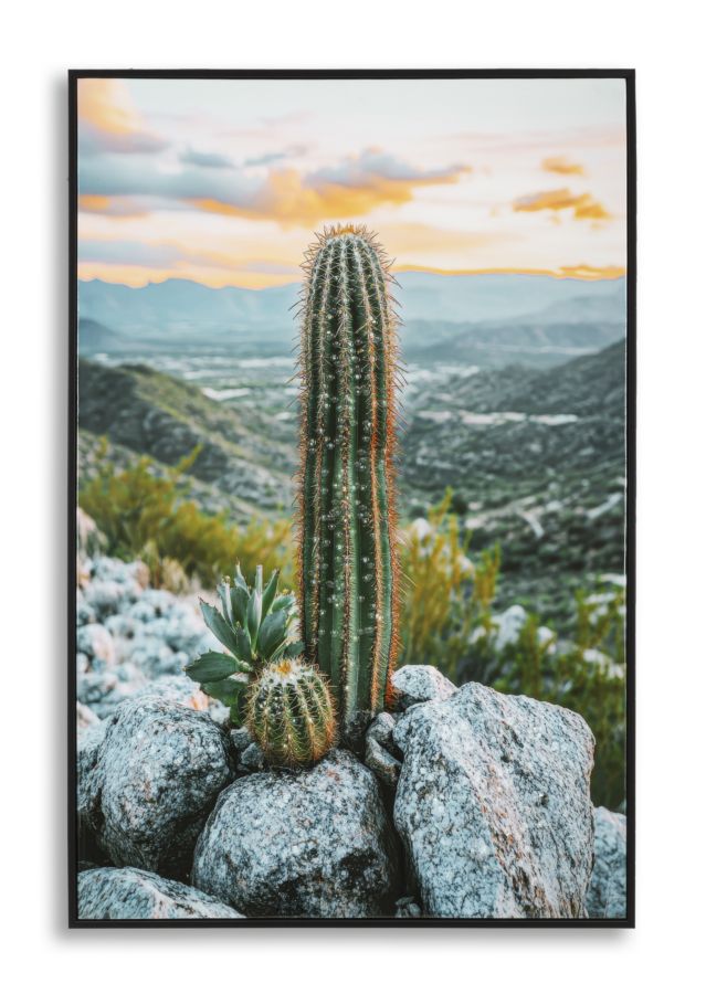 Mauro Ferretti Pictura Pe Panza, Cu Rama, Cactus -A- Cm 60X4X88 | Aosom Romania