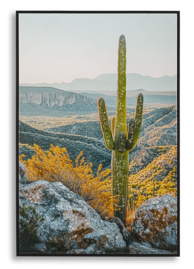 Mauro Ferretti Pictura Pe Panza Lacuita, Cu Rama, Cactus -B- Cm 60X4X88 | Aosom Romania