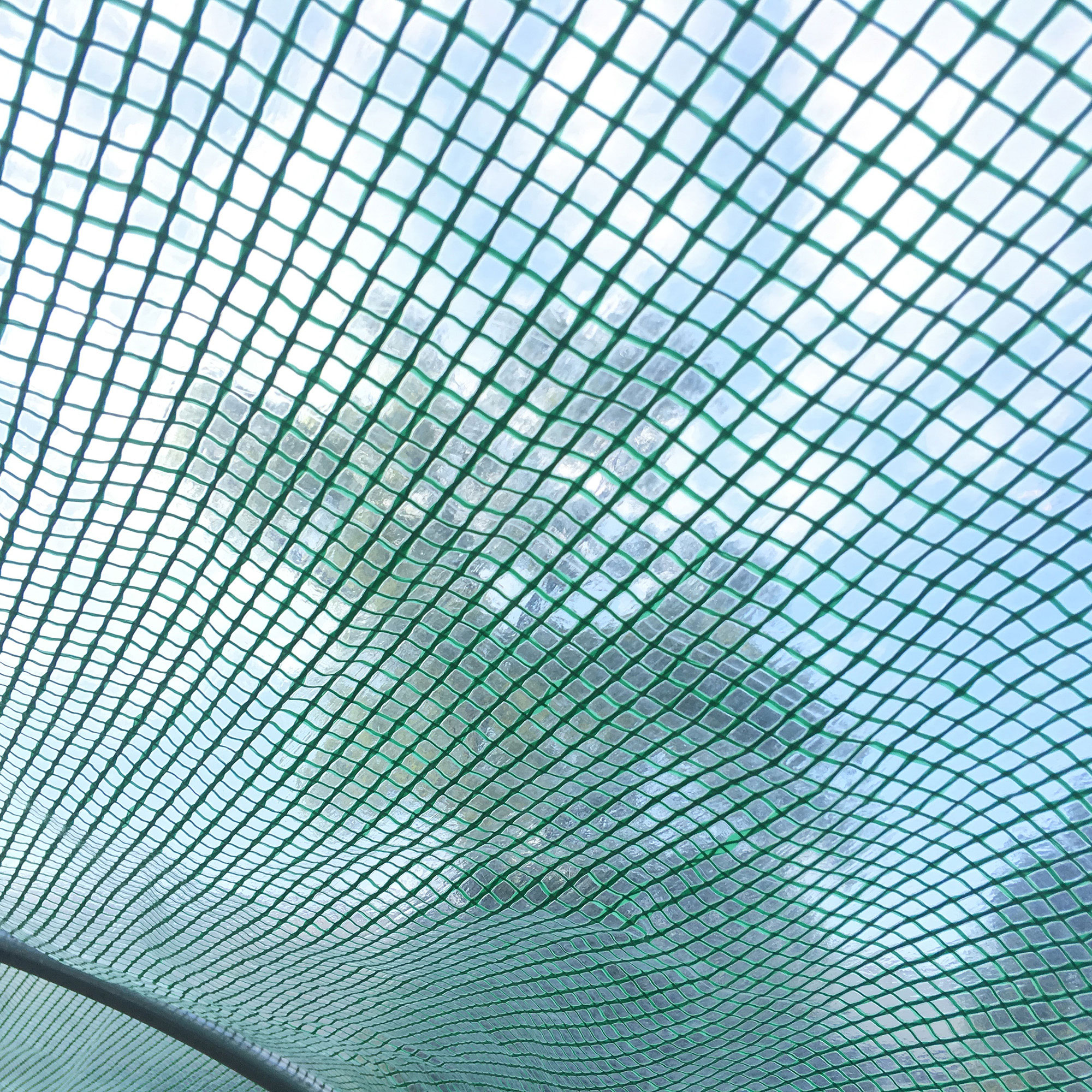 Outsunny Large Polytunnel Walk In Greenhouse, Plant Gardening Tunnel Green House with Metal Hinged Door, Galvanised Steel Frame & Mesh Windows, Green (3 x 6 m) 9