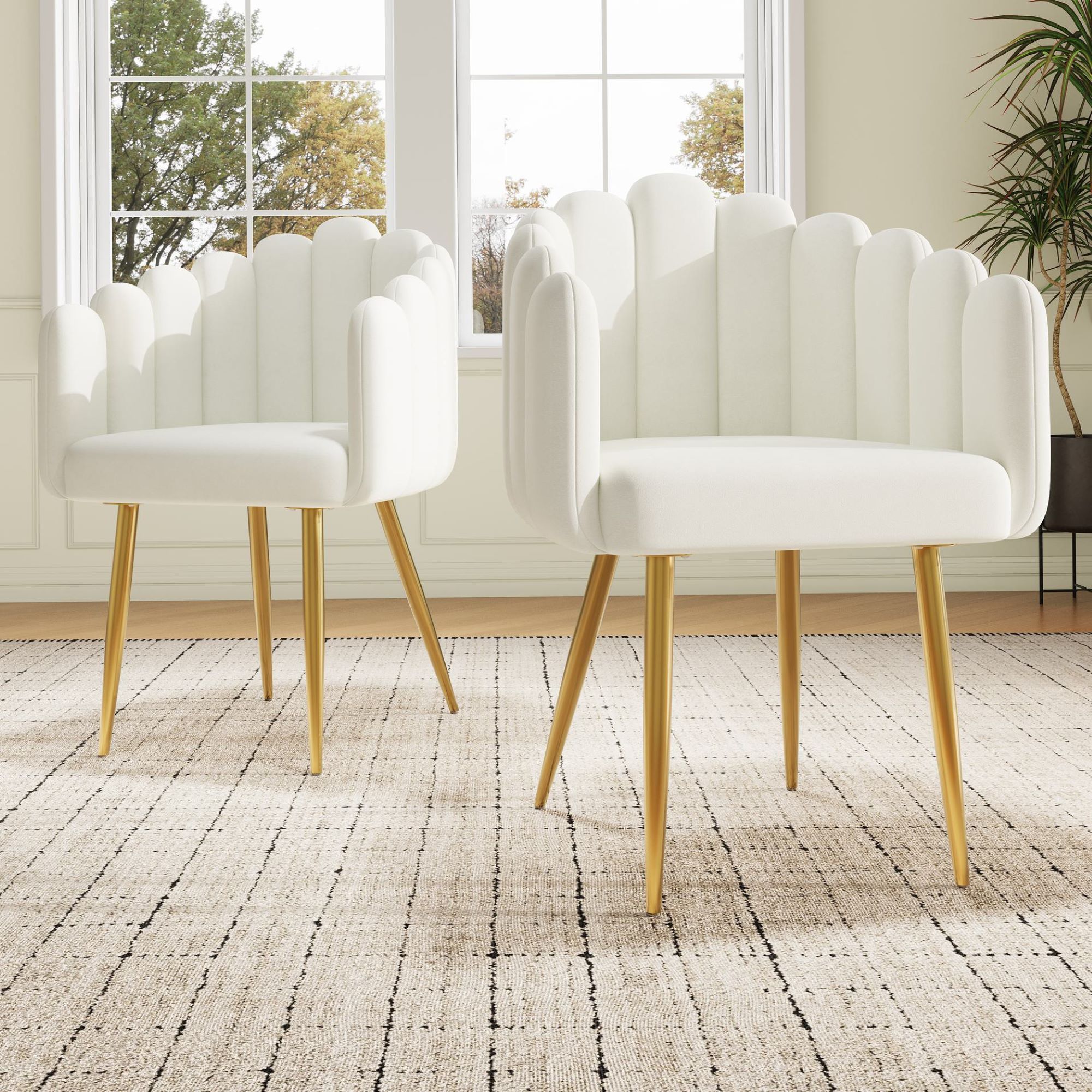 Set aus 2 Esszimmerstuhl, Make-up-Stuhl mit fächerförmiges Design, 48x44,5x günstig online kaufen