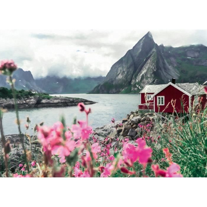 Puzzle 1000 pieces Reine, Lofoten, Norvege (Highlights), Adultes & enfants, Des 14 ans, 12000112, Ravensburger