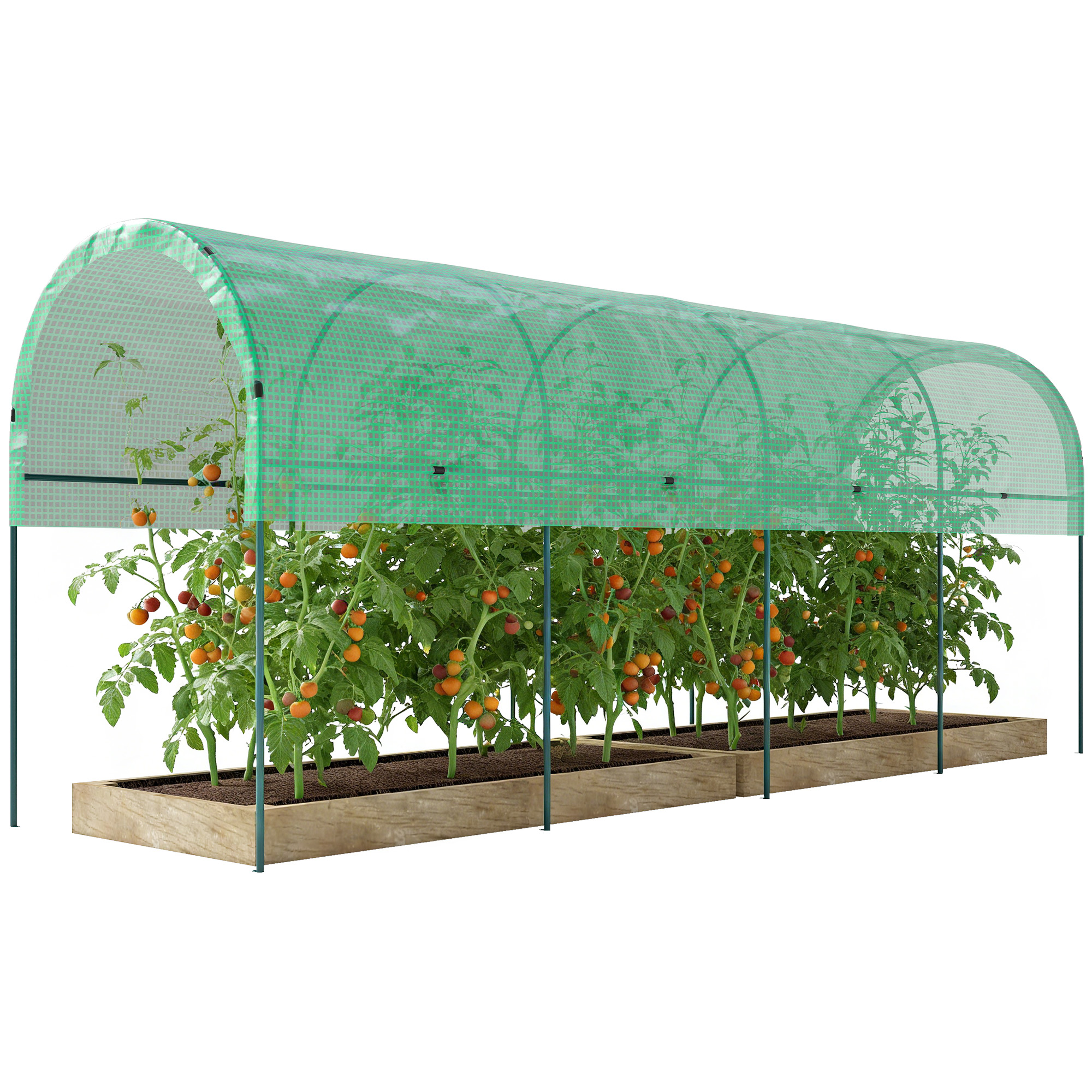 Outsunny Serre hivernale Serre tunnel en film avec toit en arc, ancrages au sol Serre 400 x 120 x 170cm Vert