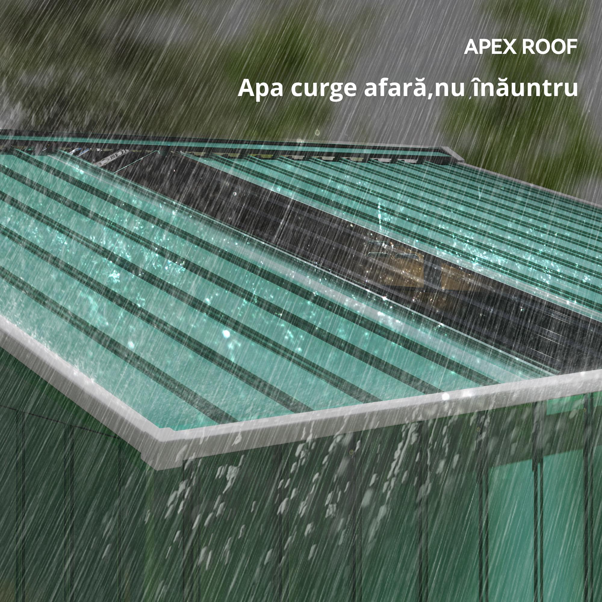  sopron pentru Unelte cu Acoperis inclinat si Usi Glisante Duble, 277x195x192 cm, Verde inchis [4]