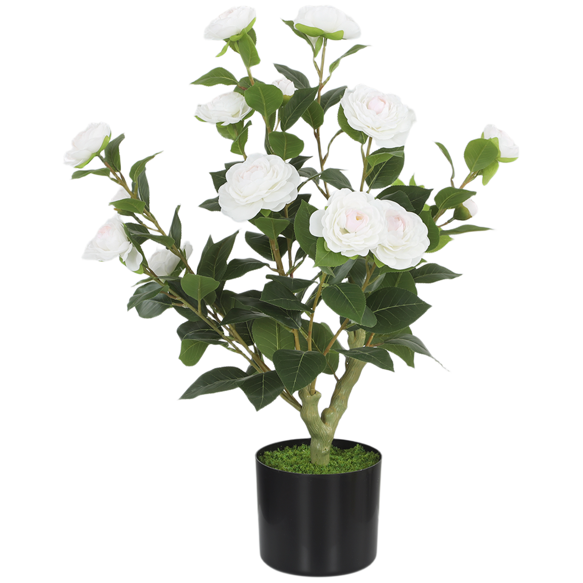 HOMCOM Plante artificielle Camelia 65cm Arbre artificiel en pot avec fleurs en soie réalistes 116 feuilles Effet Musgo Blanco