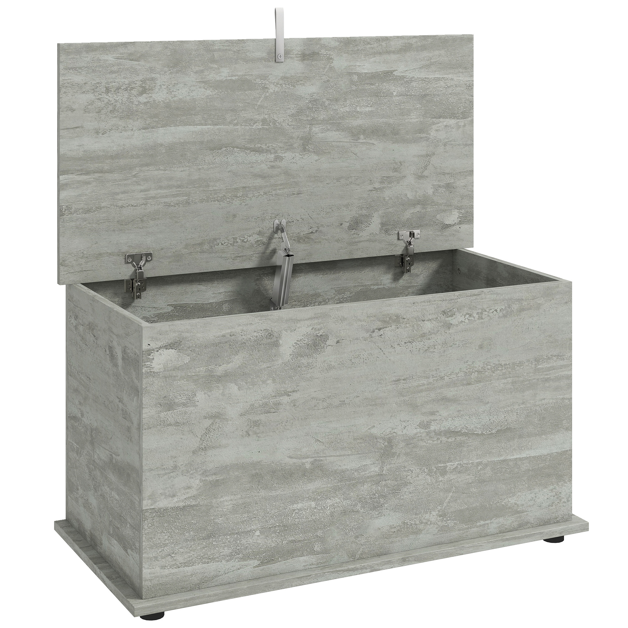HOMCOM Aufbewahrungstruhe, Sitzbank mit Klappdeckel und Sicherheitsscharnier, Schuhbank, Diele, Flur, Schlafzimmer, Wohnzimmer, 80 x 40 x 45 cm, Grau Aosom