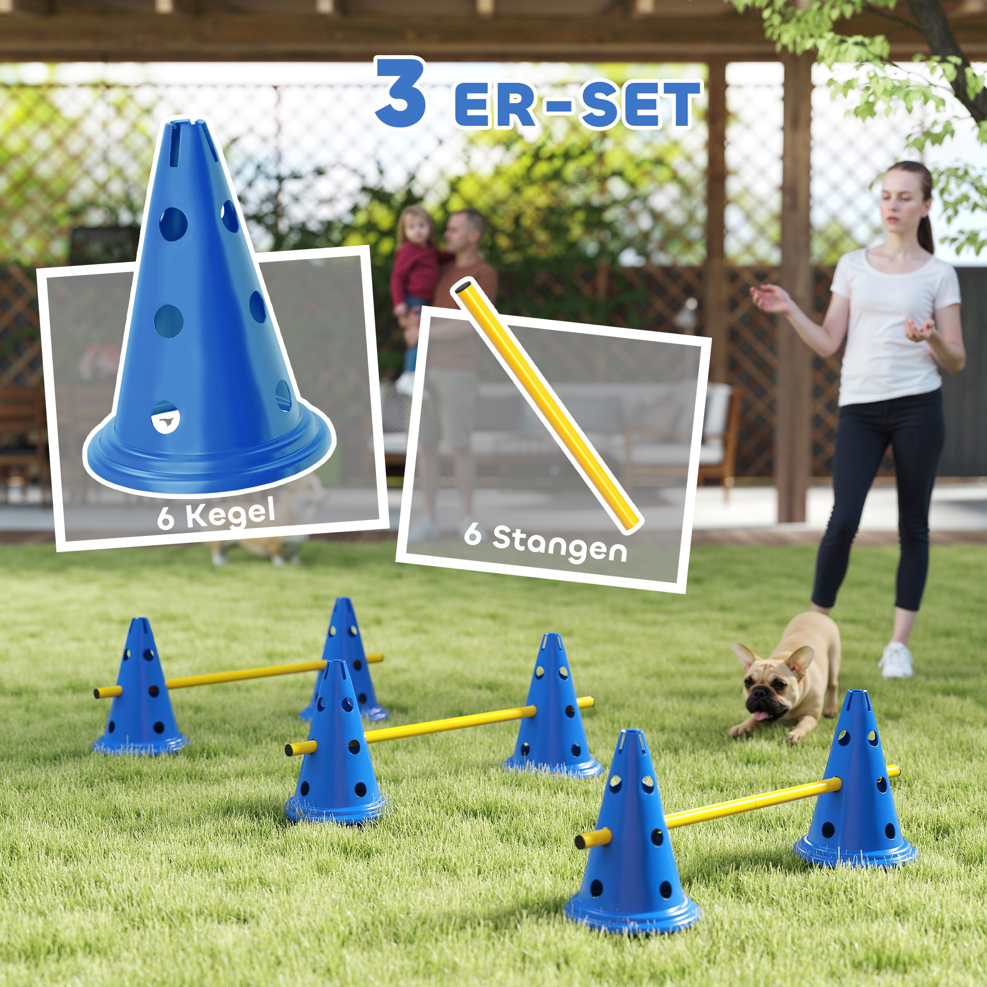 Agility komplekt koertele: 3-osaline agilityvarustus koerte treenimiseks, sh 6 koonust, 3 tõket ja kandekott.