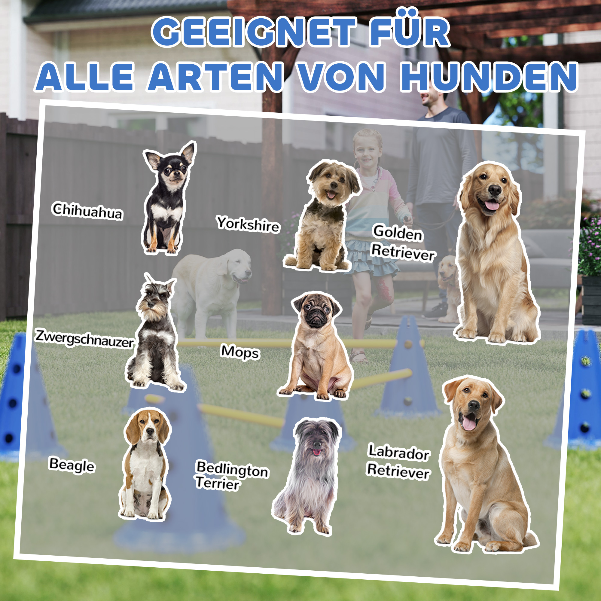 Agility komplekt koertele: 3-osaline agilityvarustus koerte treenimiseks, sh 6 koonust, 3 tõket ja kandekott.