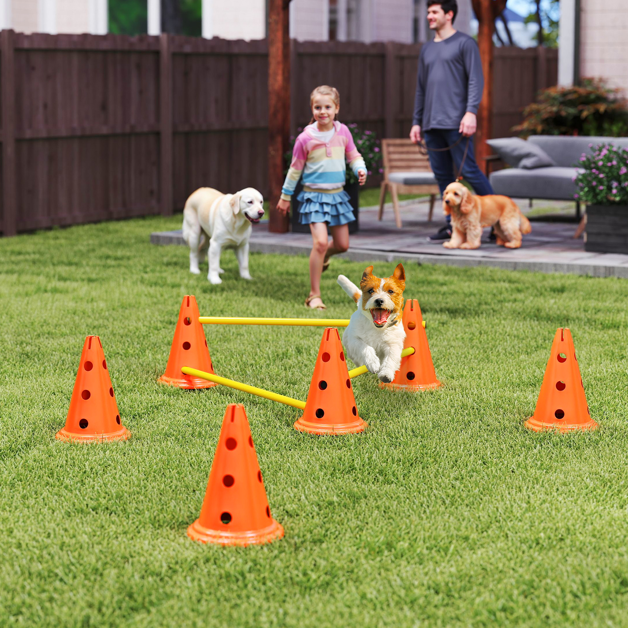 Agility komplekt koertele: 3-osaline agilityvarustus koerte treenimiseks, sh 6 koonust, 3 tõket ja kandekott.